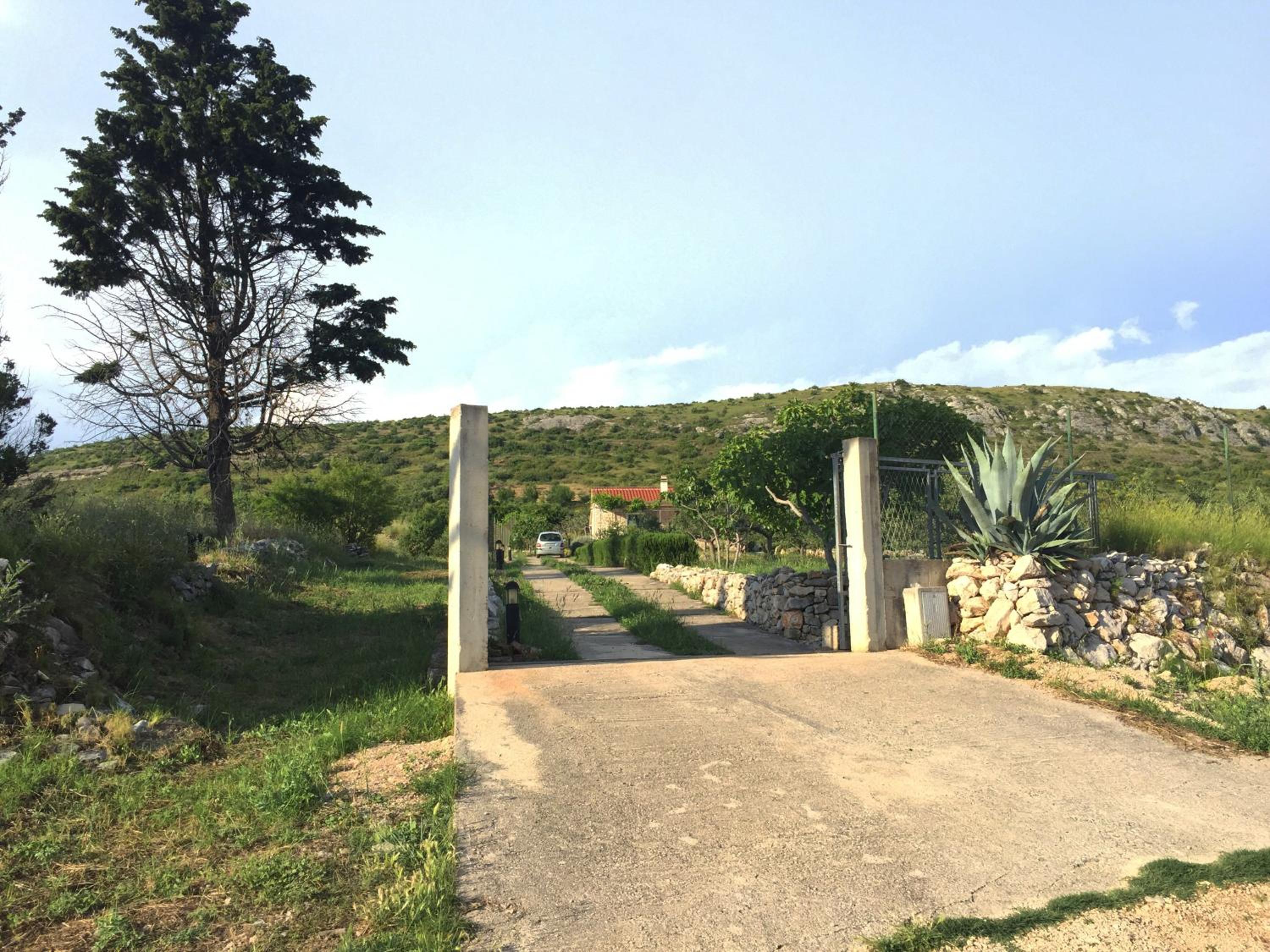 Photo 16