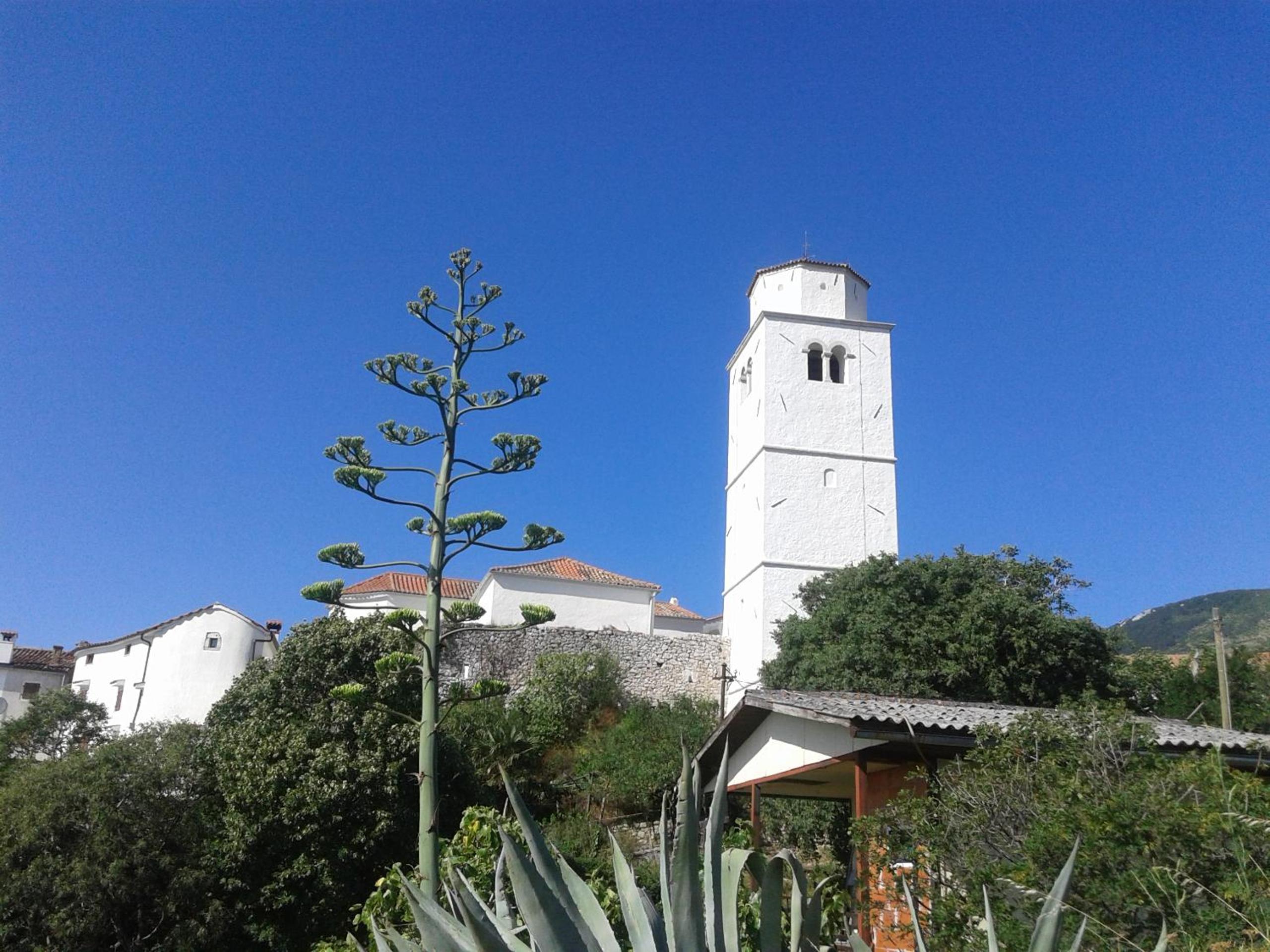 Photo 34