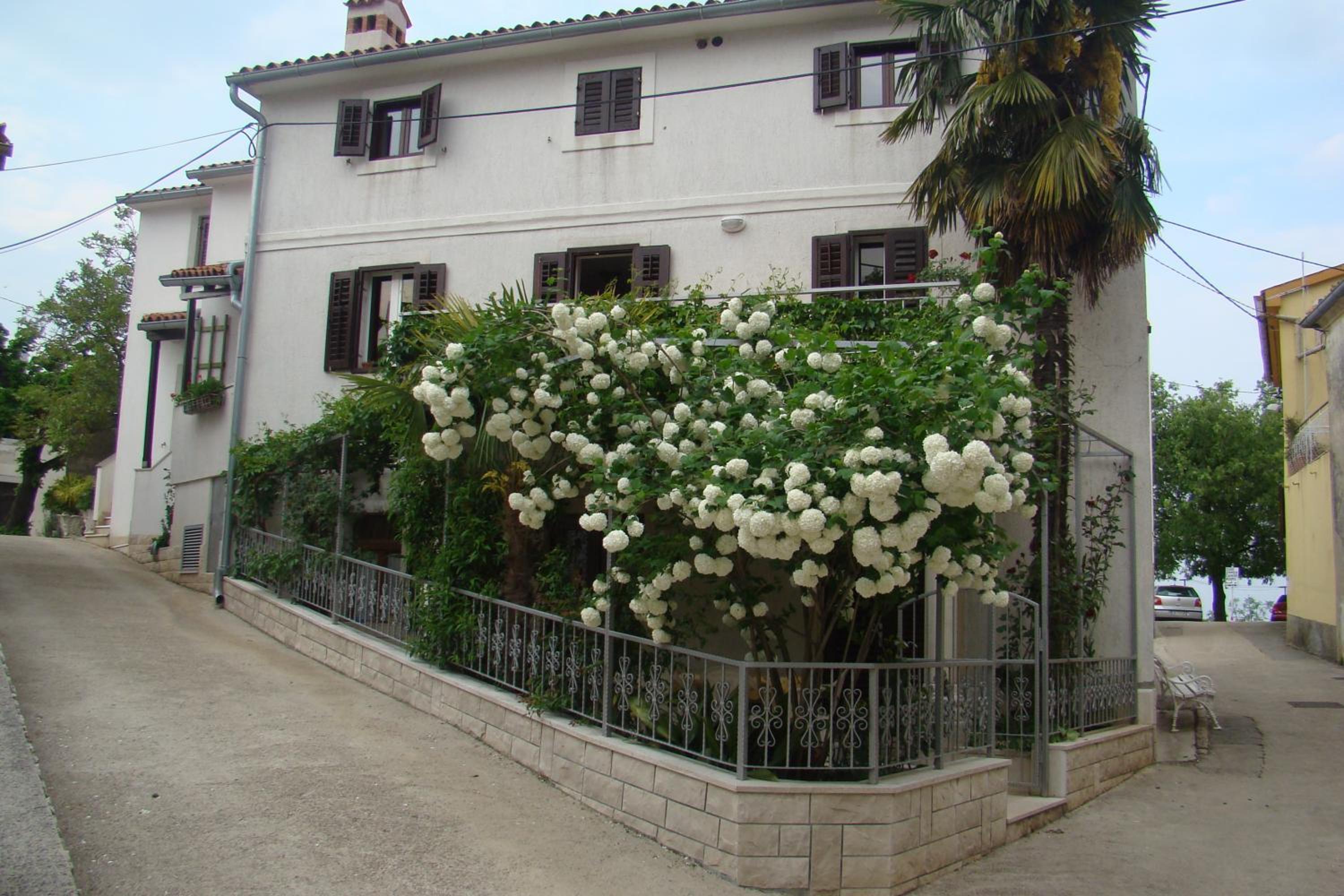 Photo 33