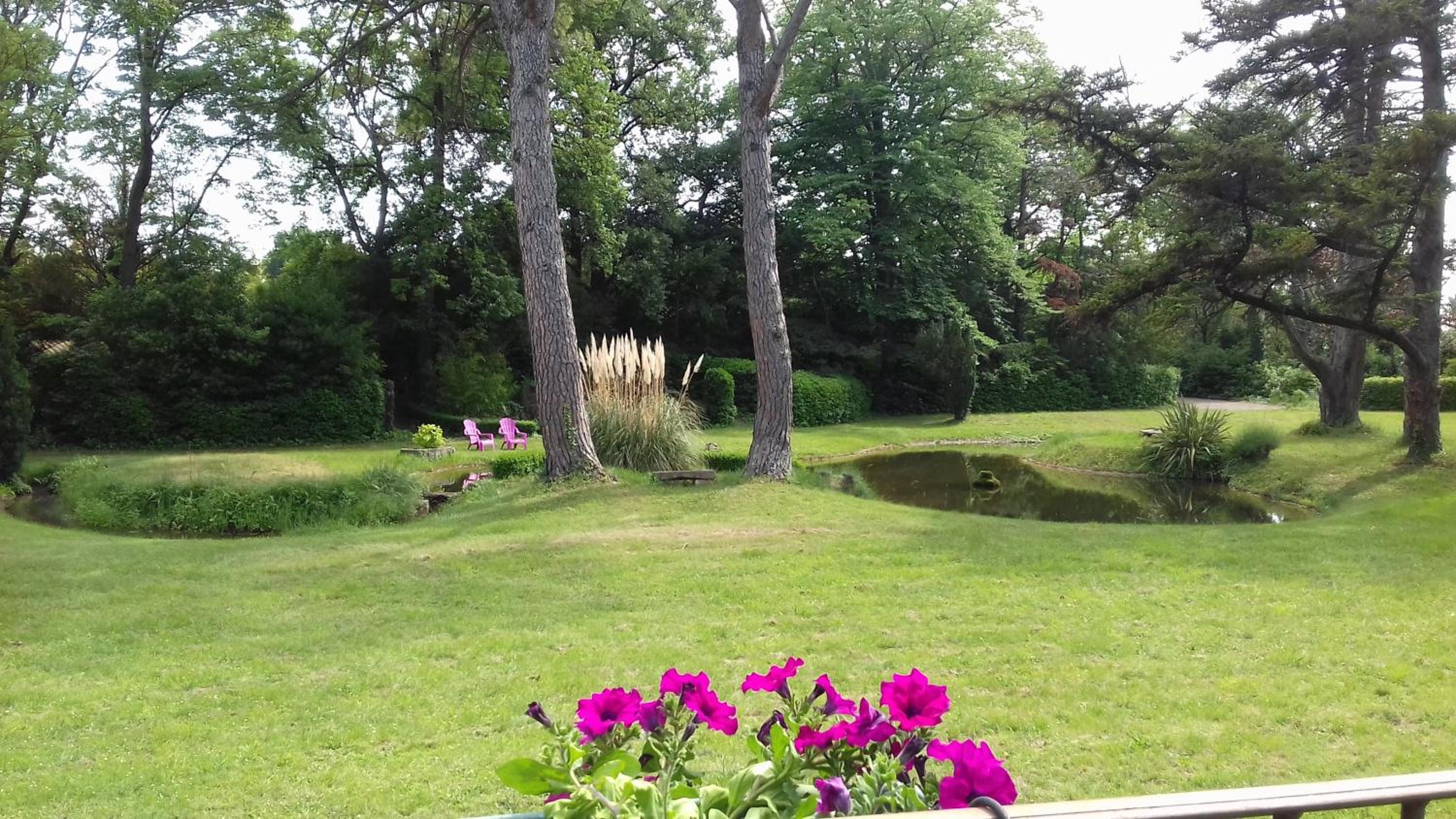 Domaine de Bellevue CHAMBRE D'HÔTES view 4