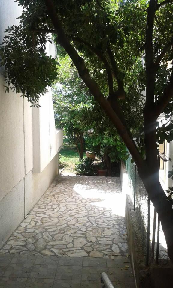 Photo 43