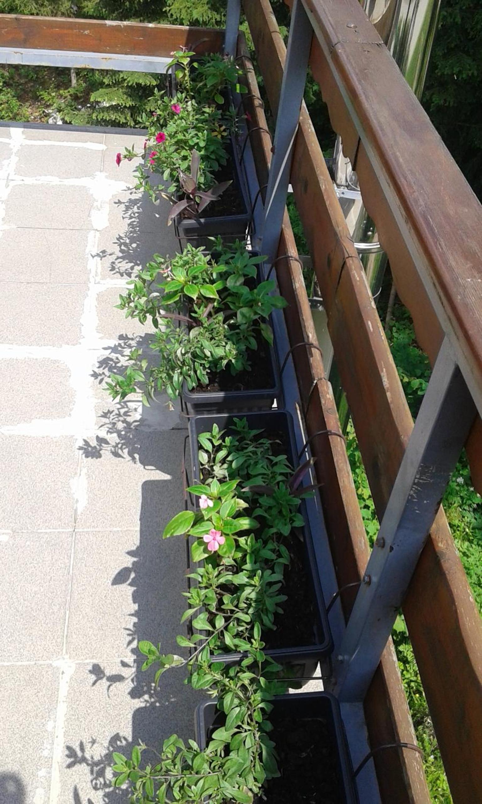 Photo 41