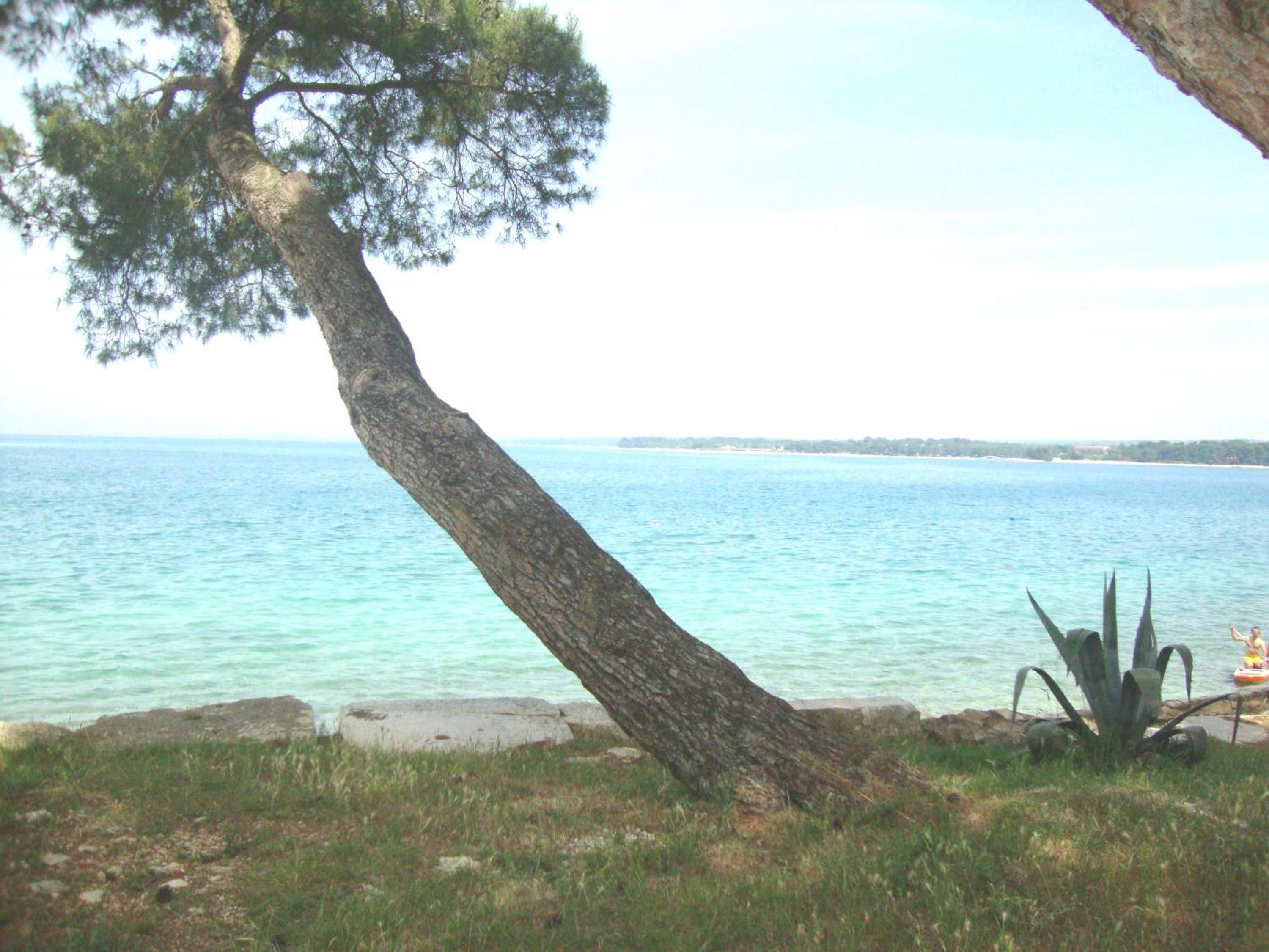 Apartment Mirta en Pula