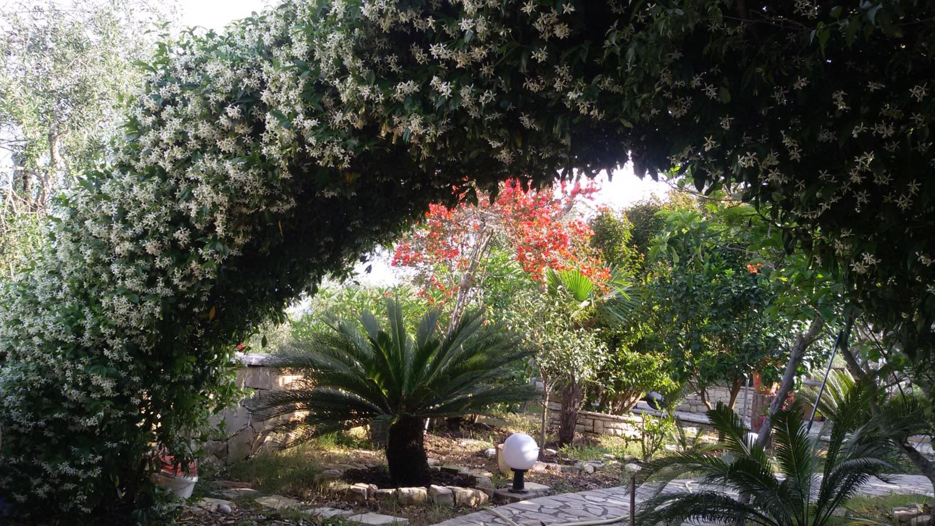 Photo 16