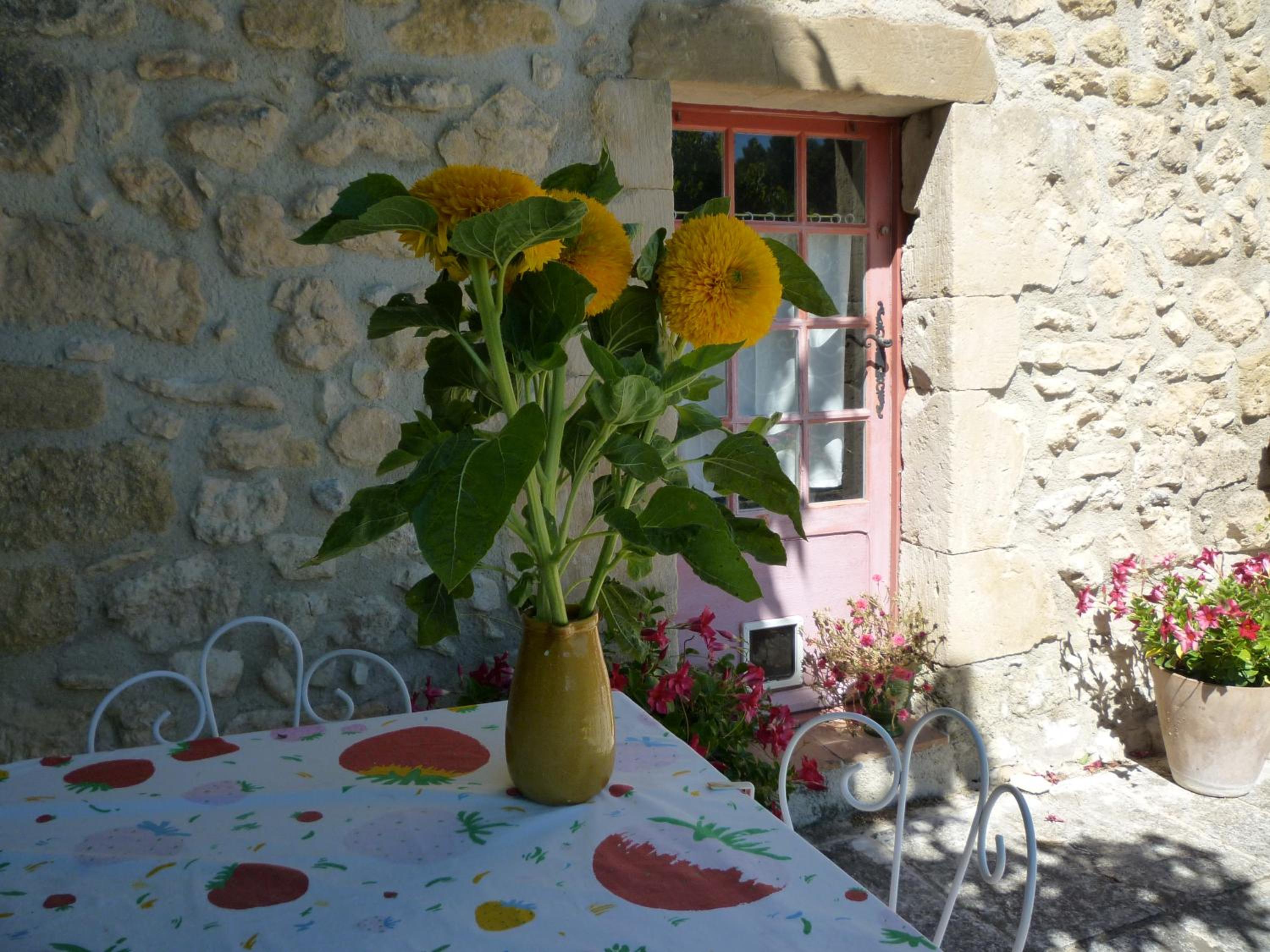 Photo 7