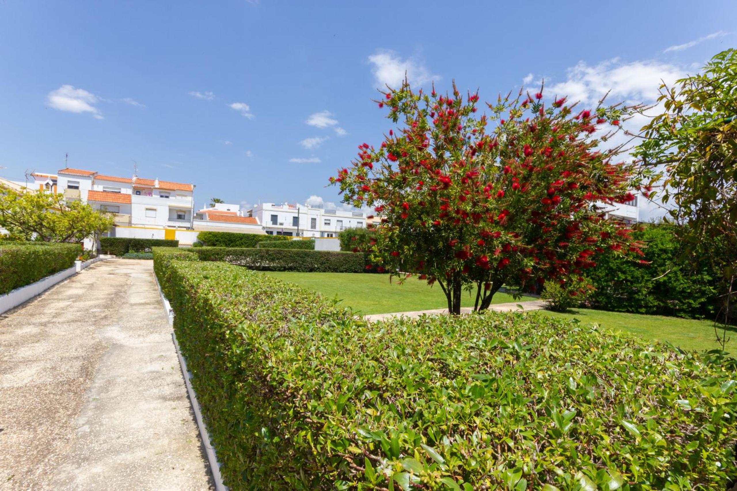 Casinhoto - Casa dos Arcos by Real Life Concierge view 2