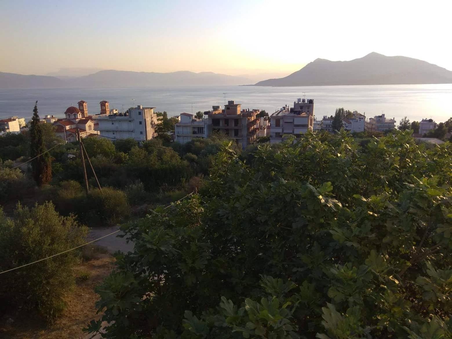 Apanemo Studios view 2