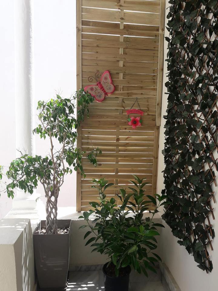 cozy flat at Rhodes centre photo 4