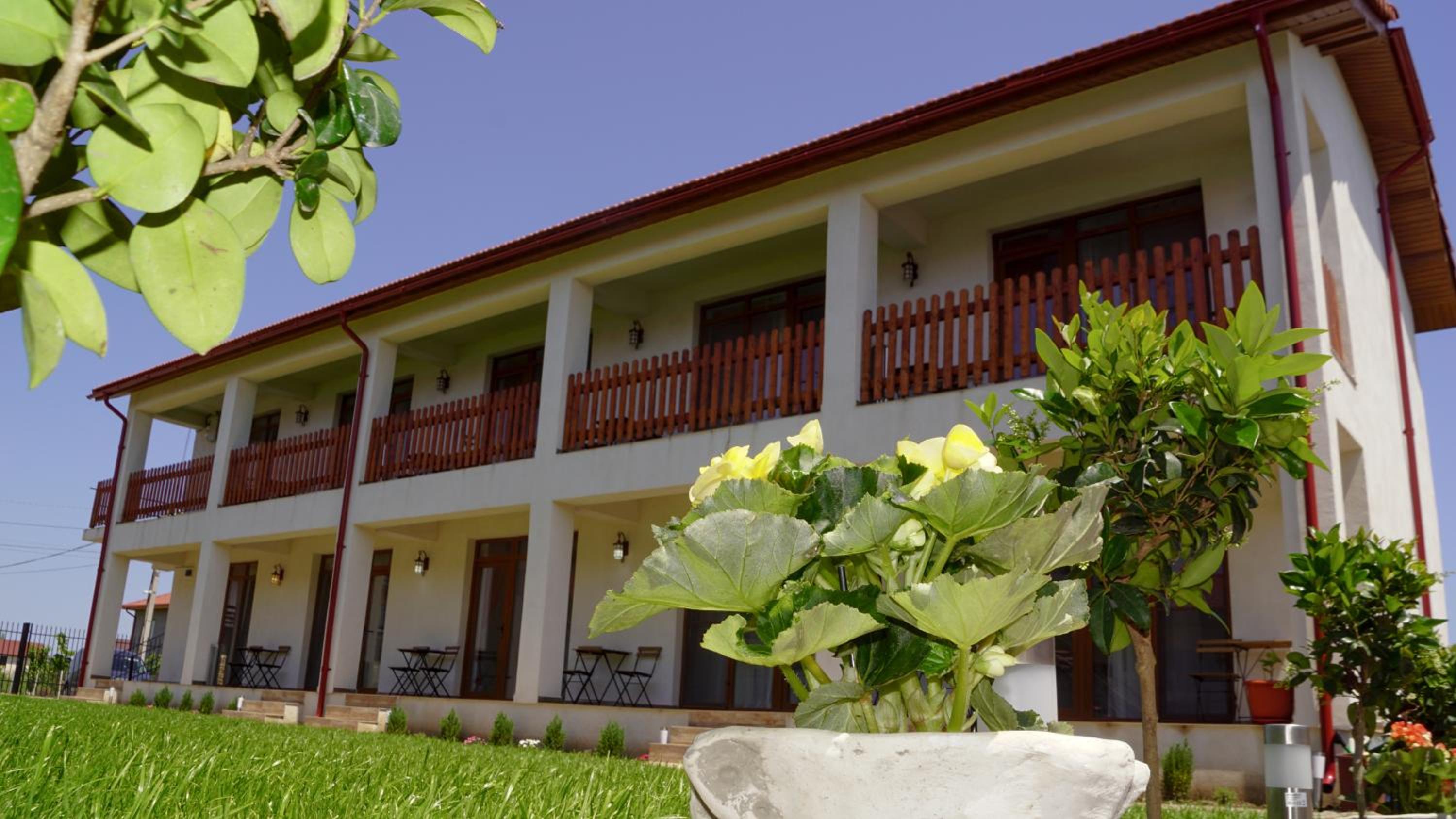 Casa Baran Vama Veche view 2