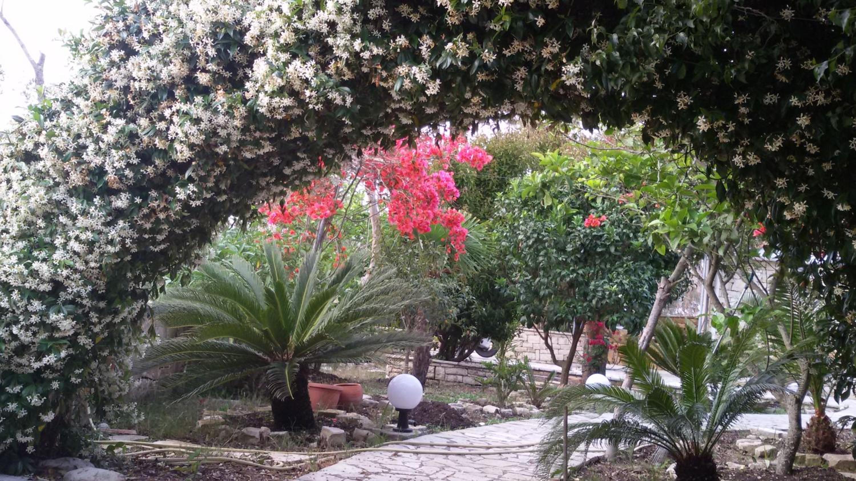 Photo 43