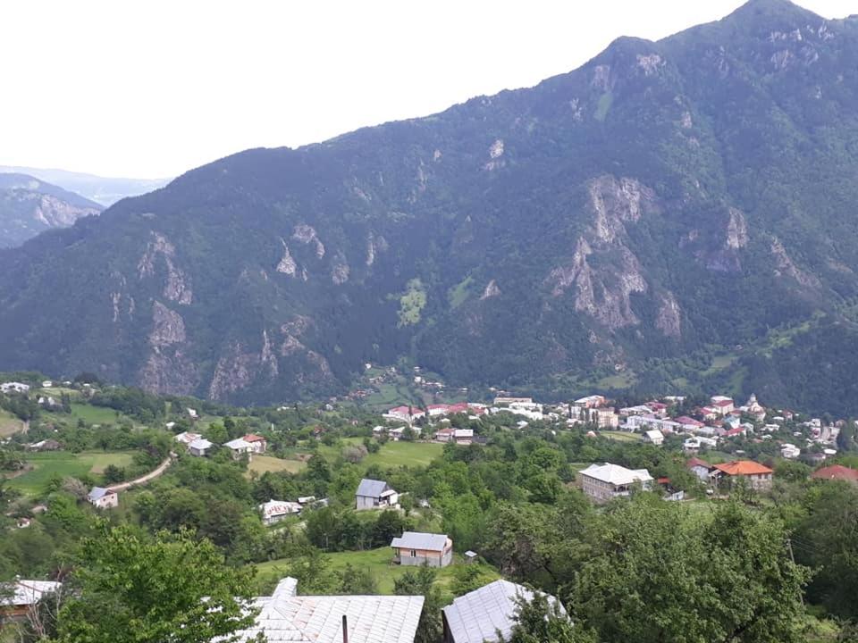 Photo 43