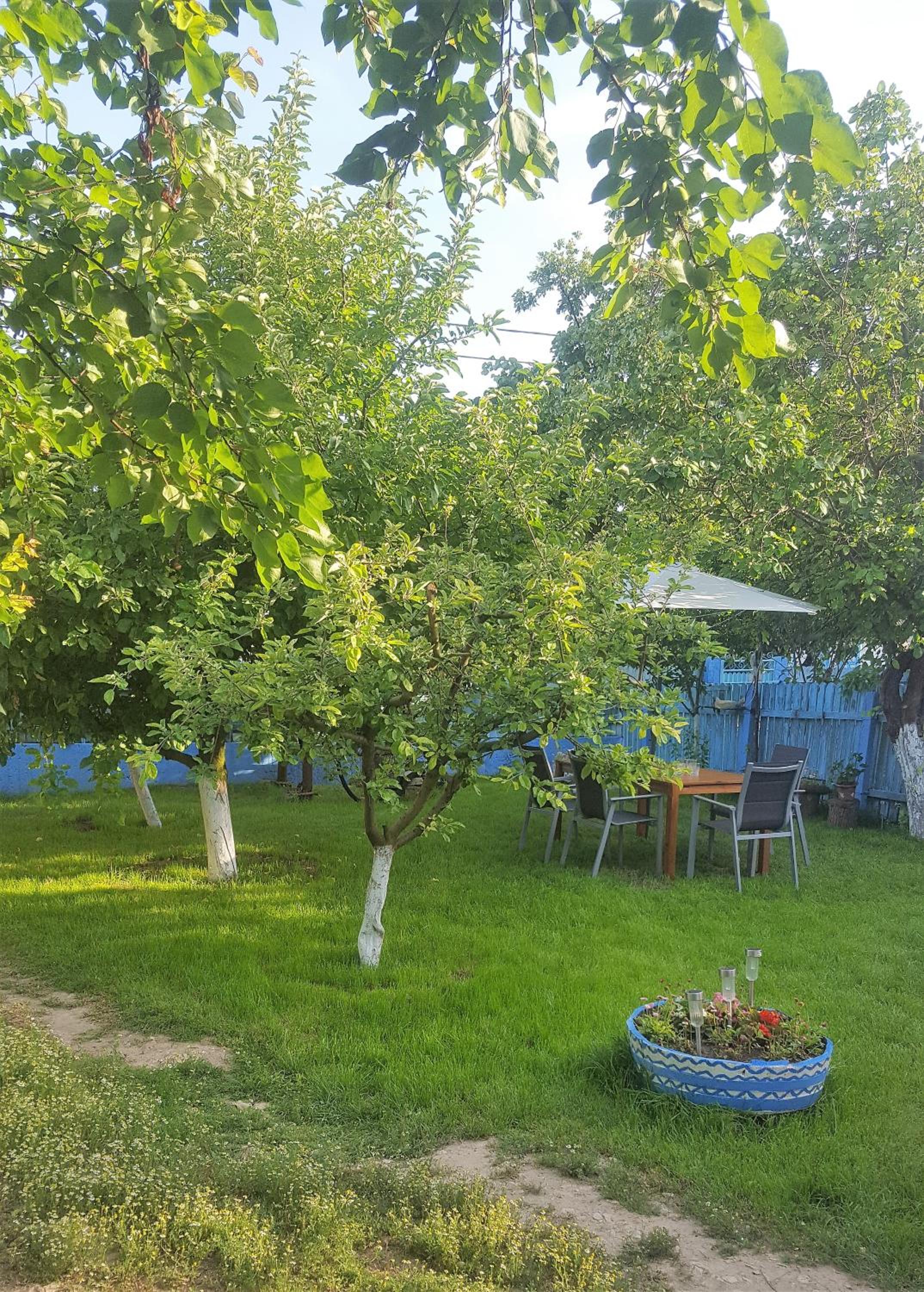 Photo 66