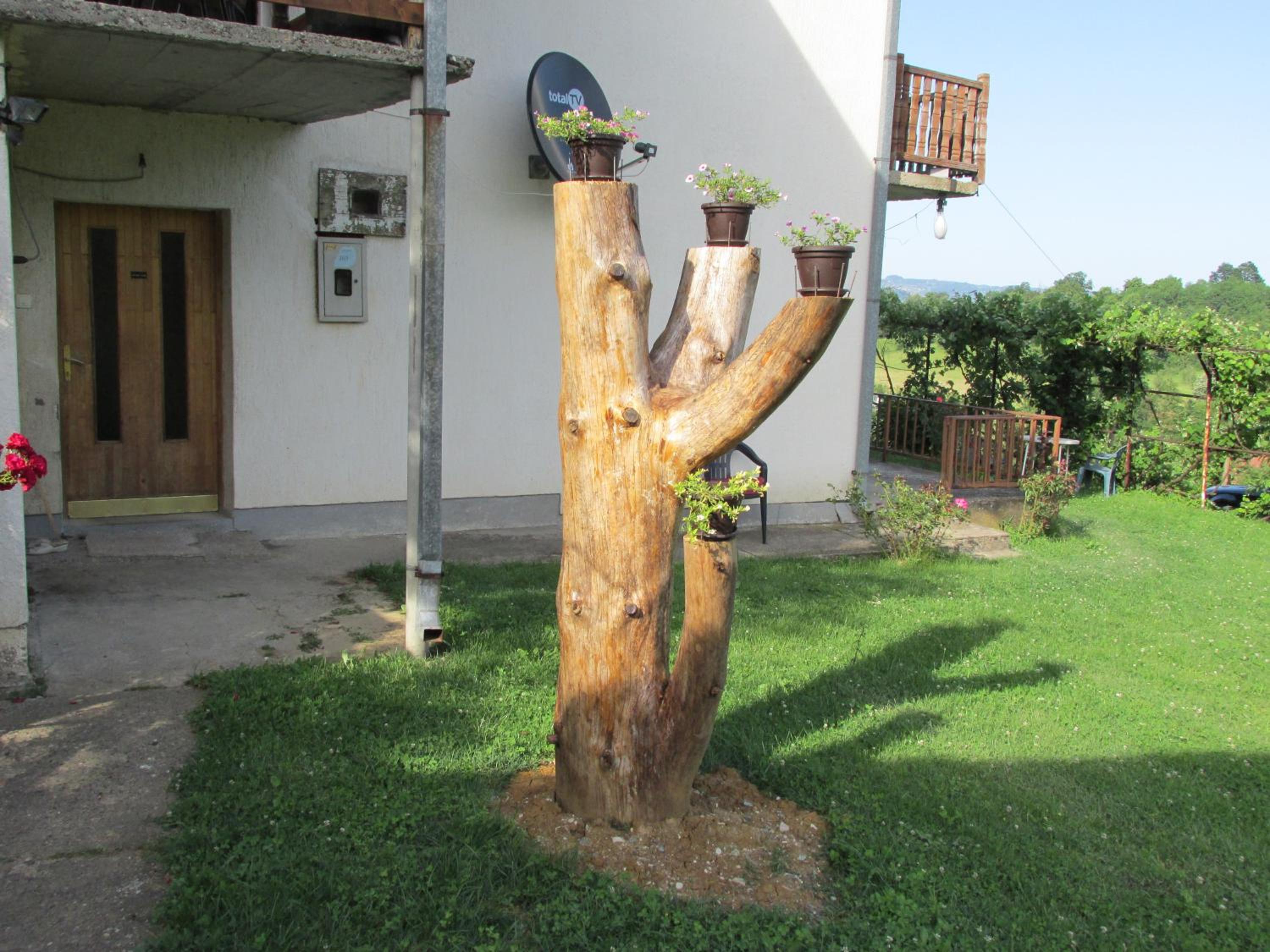 Country House Roman