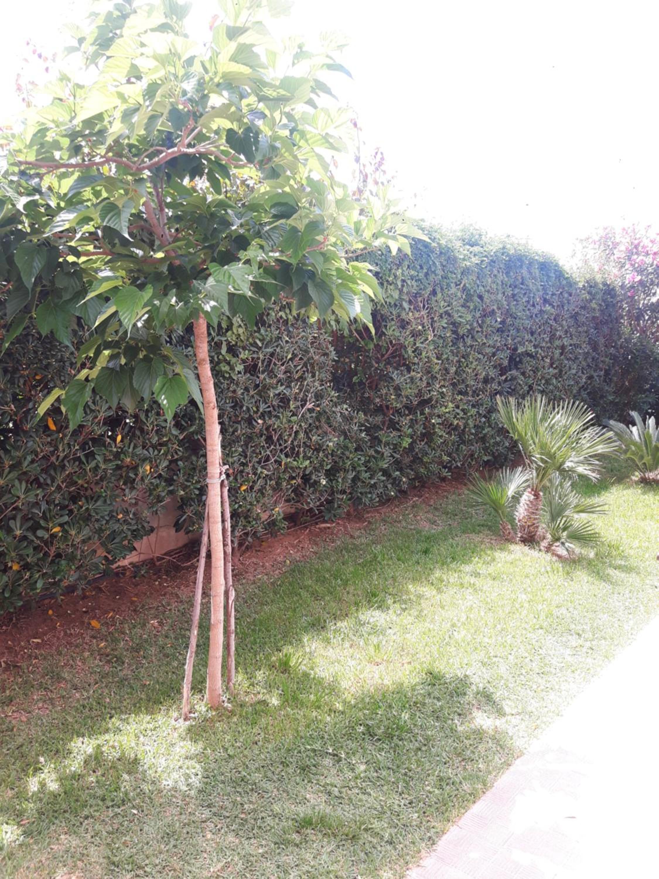 Villa le Due Palme view 3