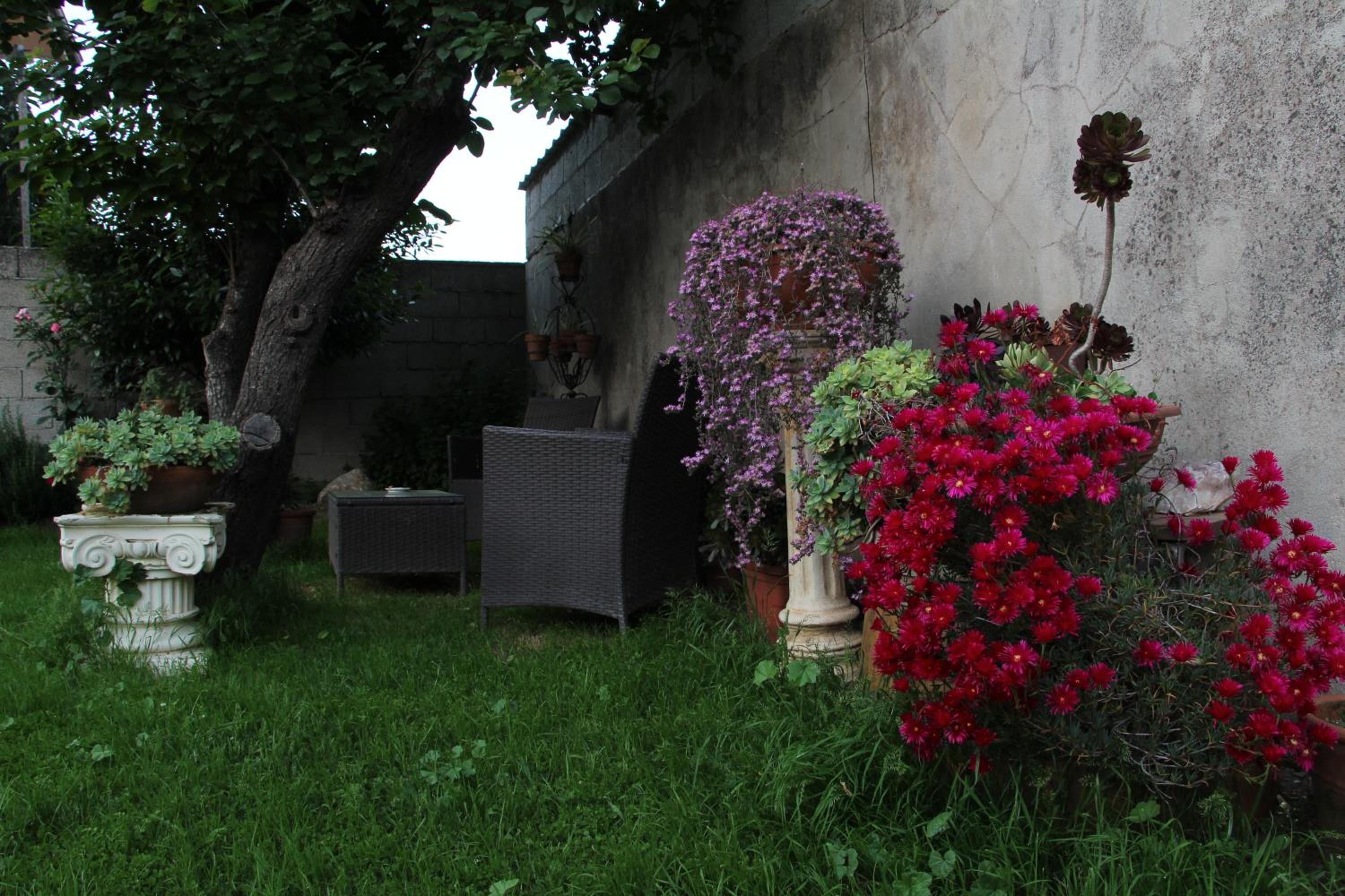 Photo 65