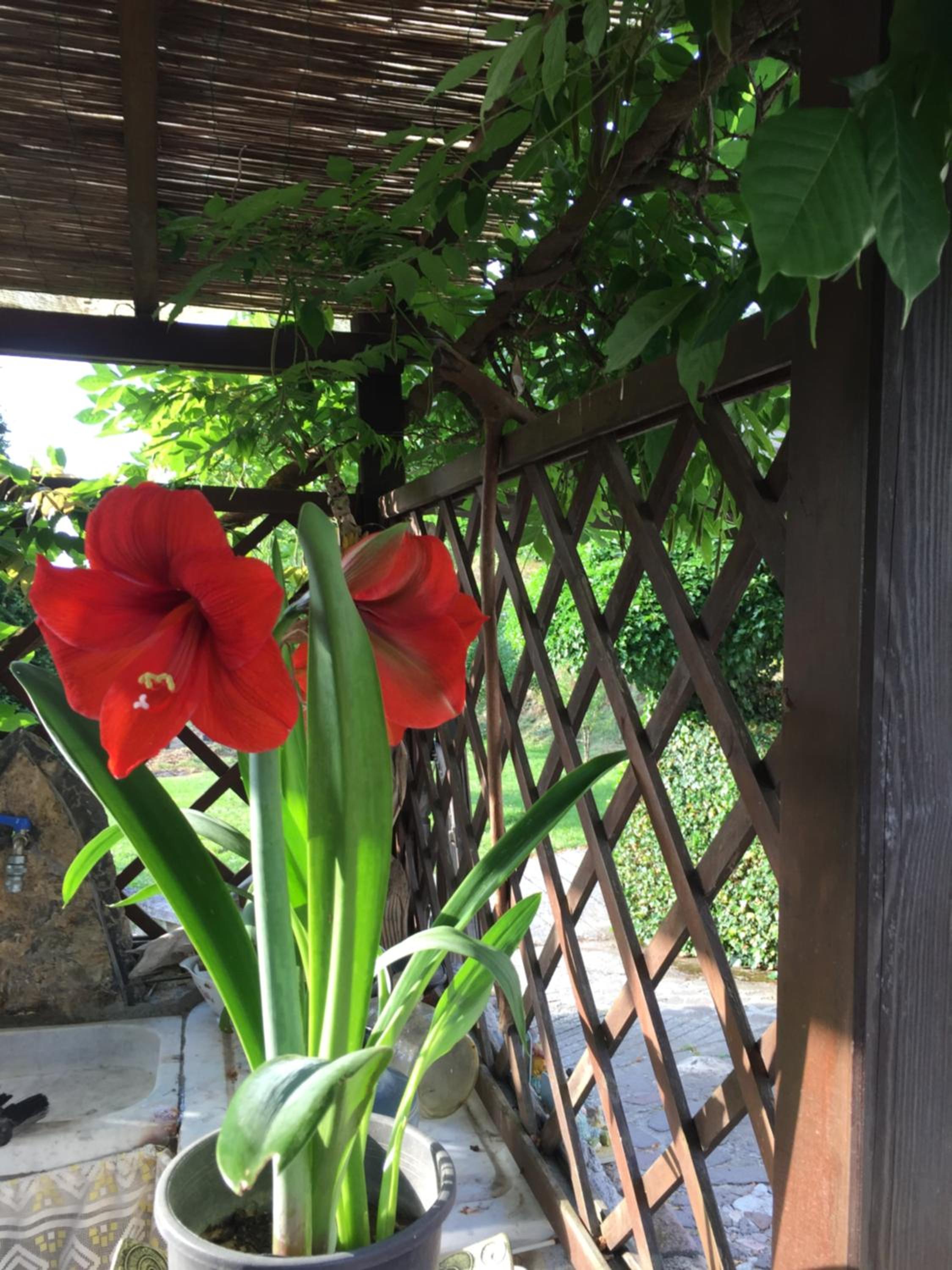 Il Ghiro B&B photo 4