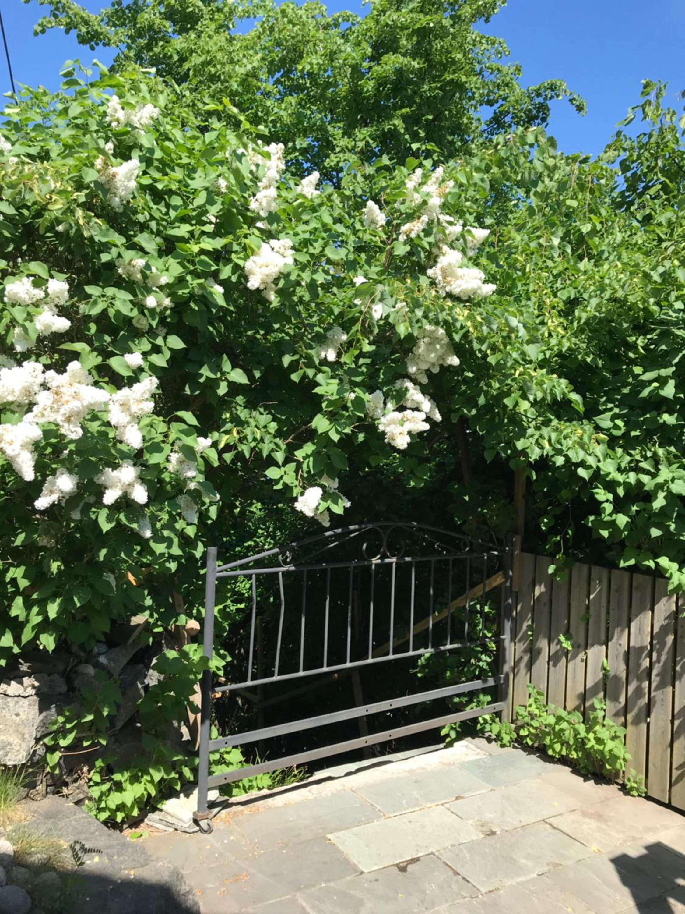 Photo 16