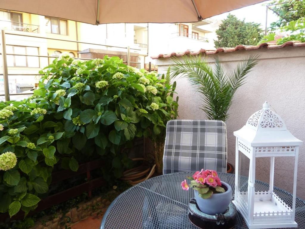 Guest House Plavas