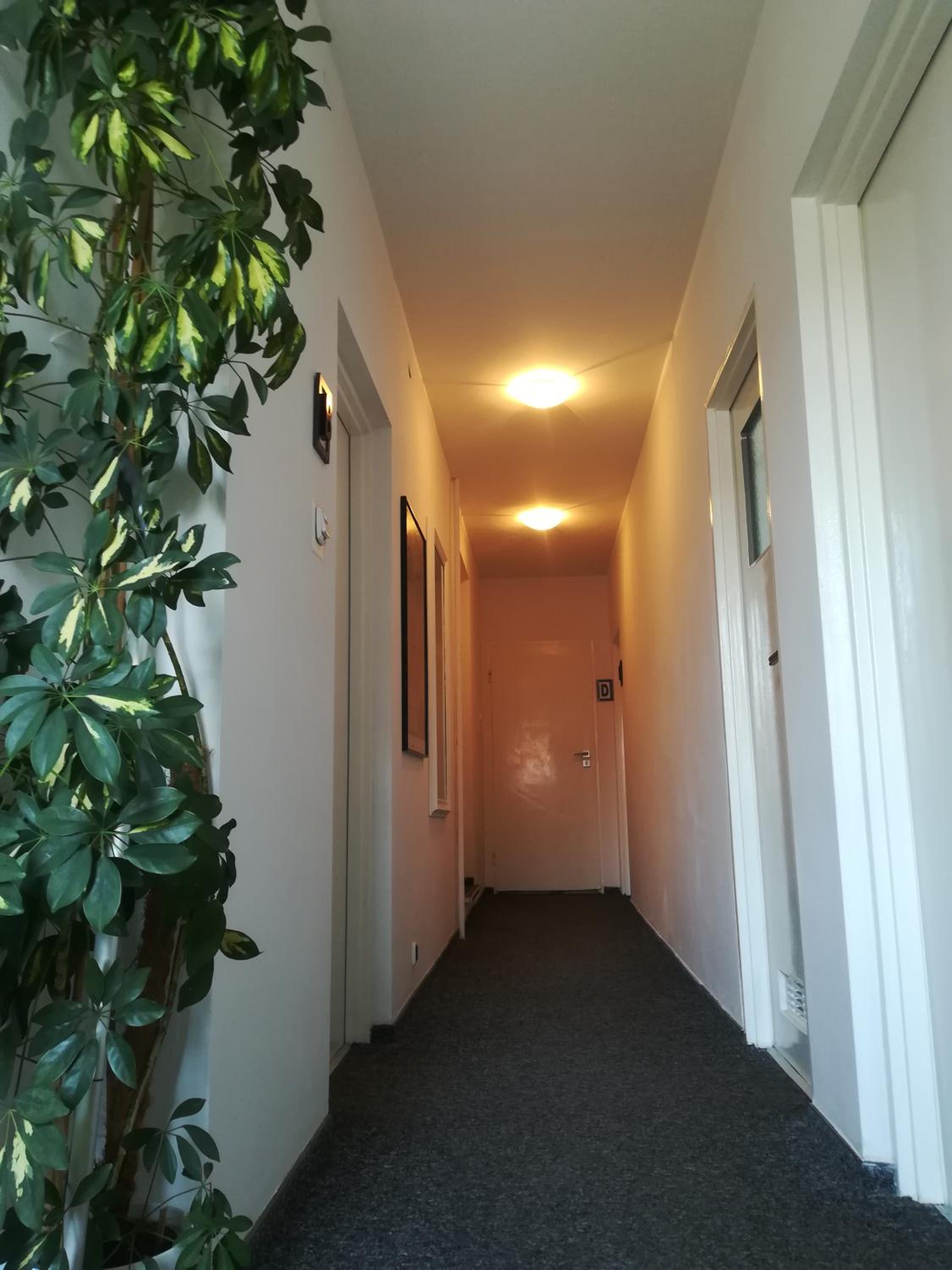 Photo 47