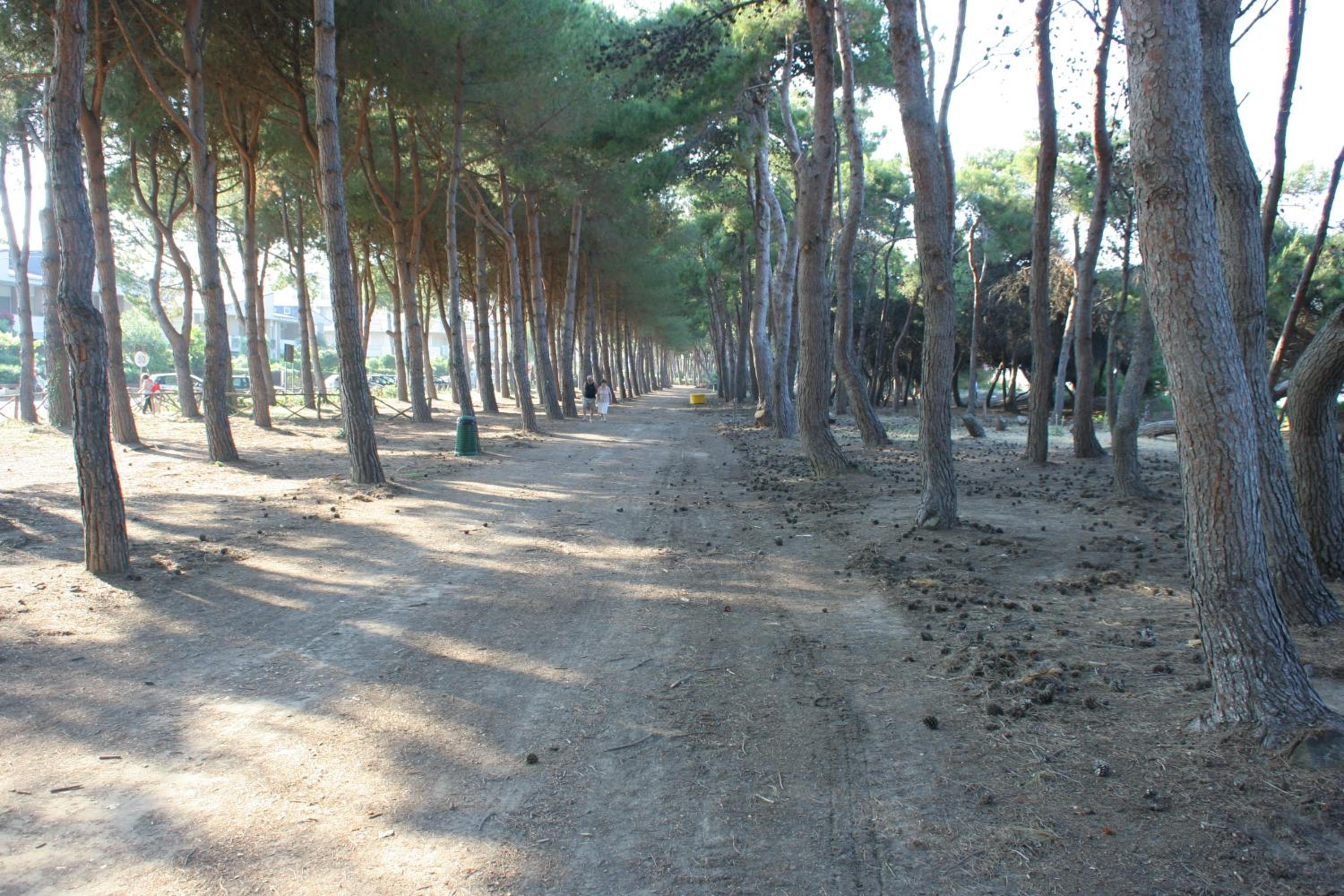 Photo 44