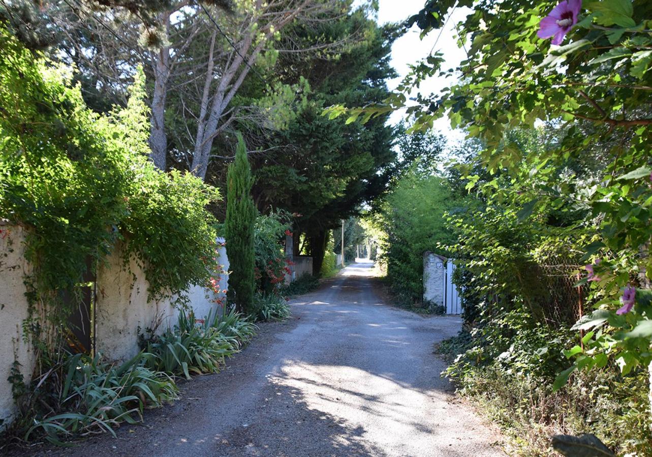 Photo 15
