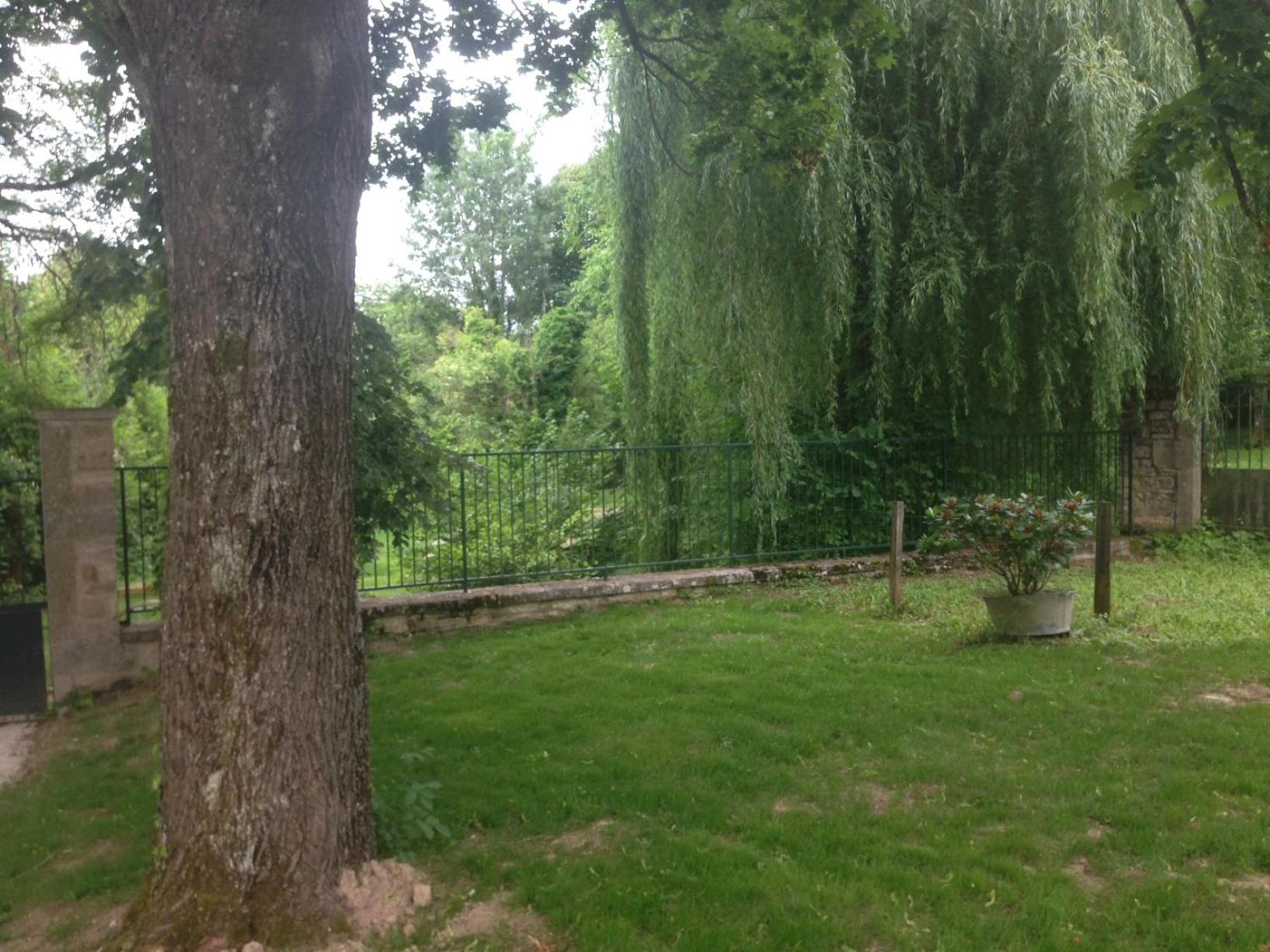 Photo 8