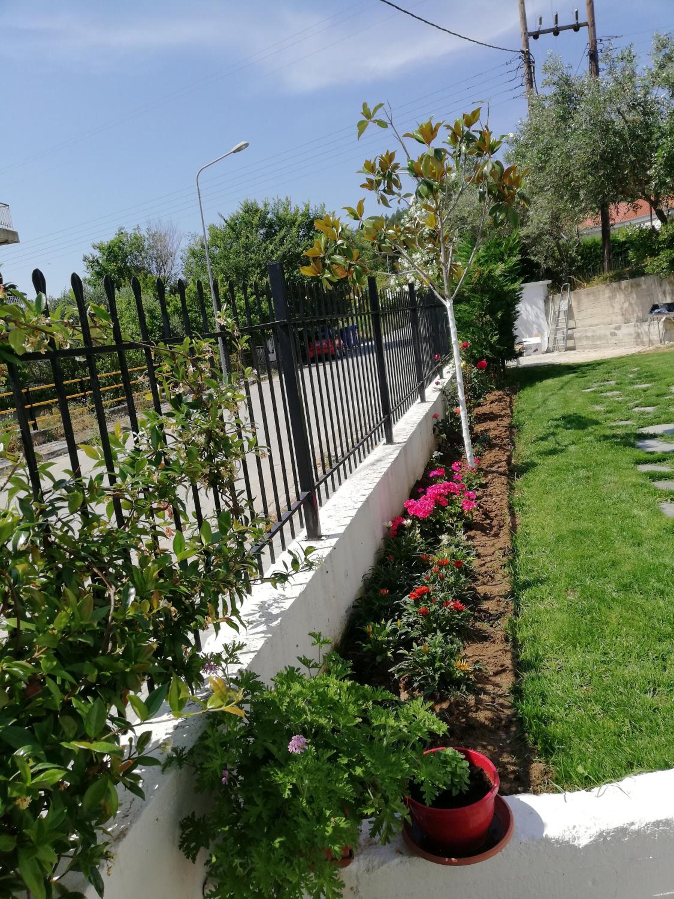 Photo 37