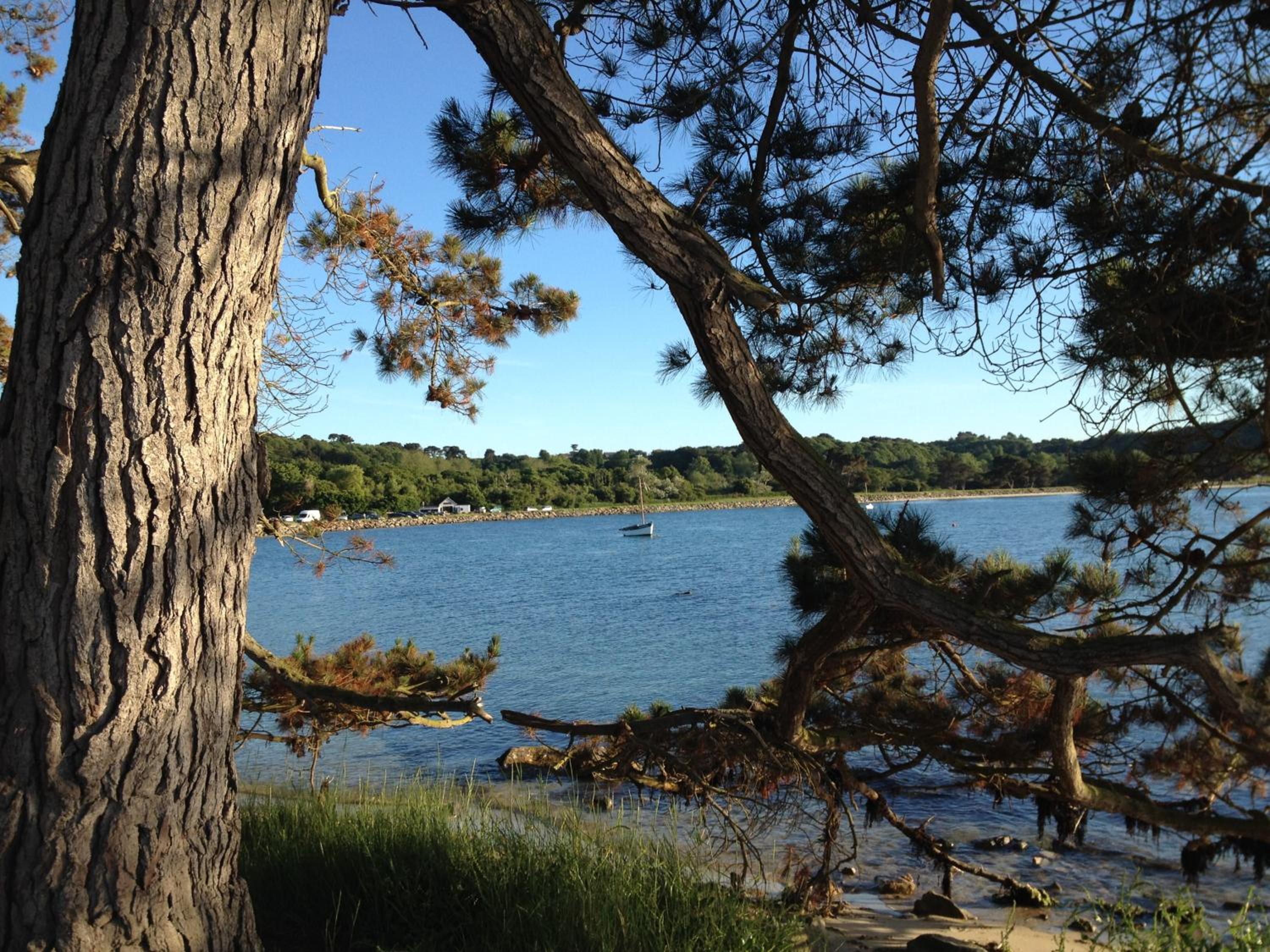 Aux Perderies view 2