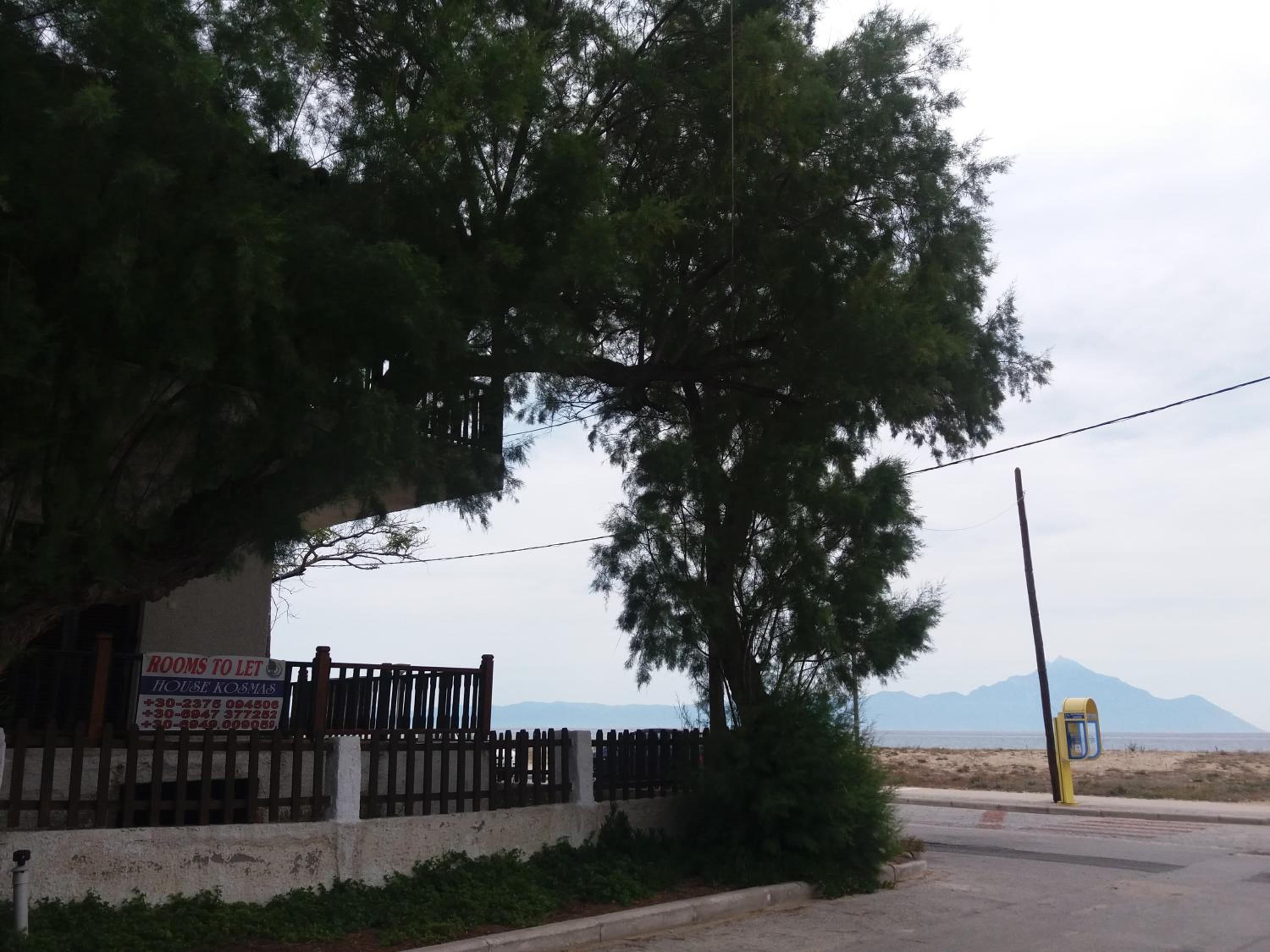 Photo 44