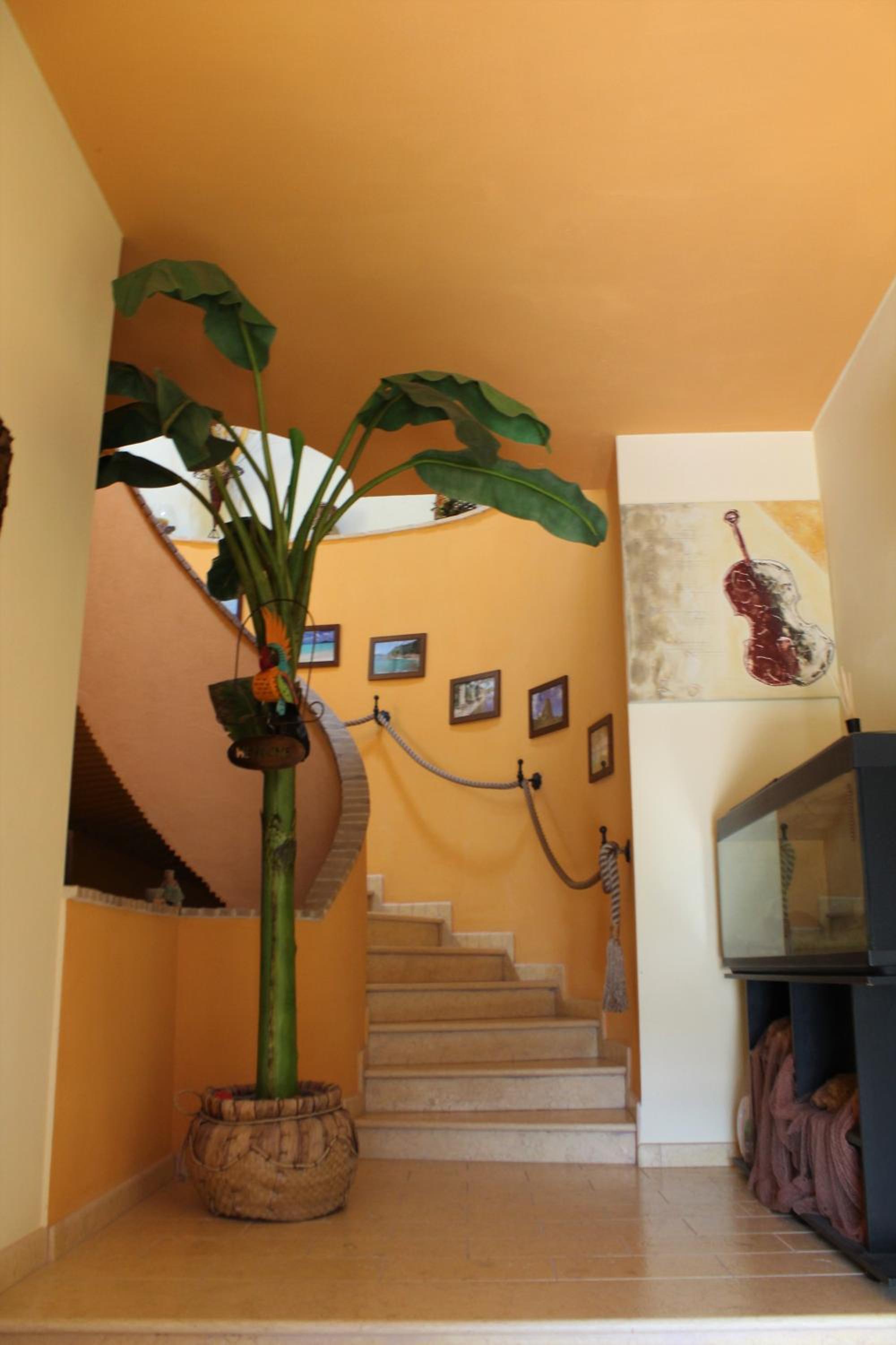 Antigua B&B