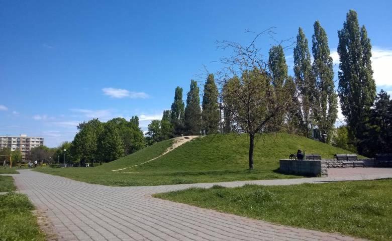 Photo 24