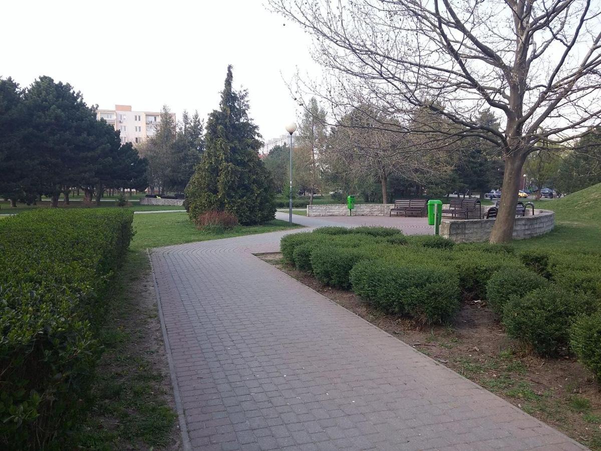 Photo 25