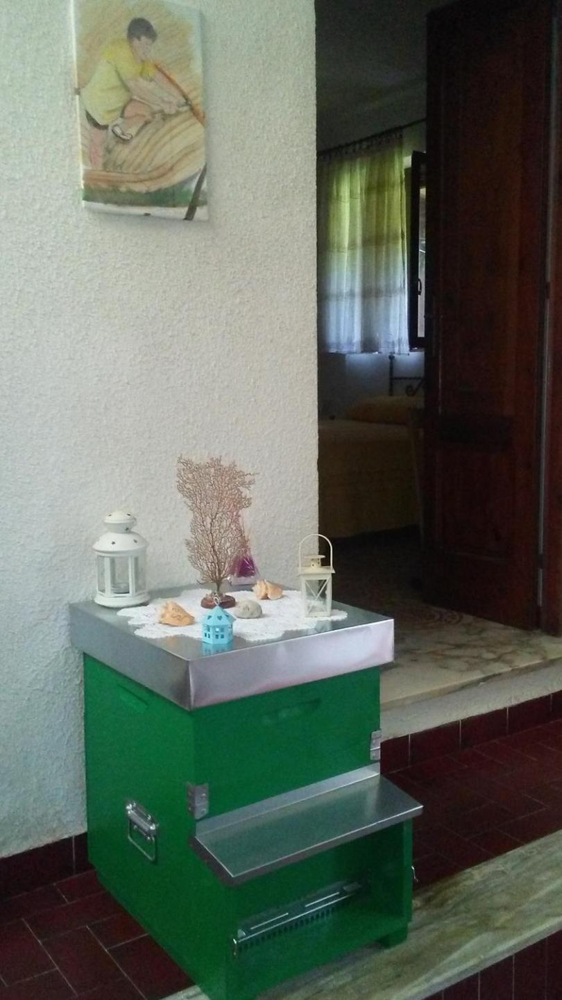 Photo 33