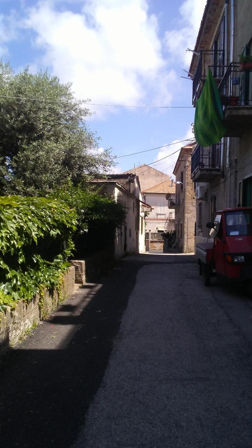 Photo 32