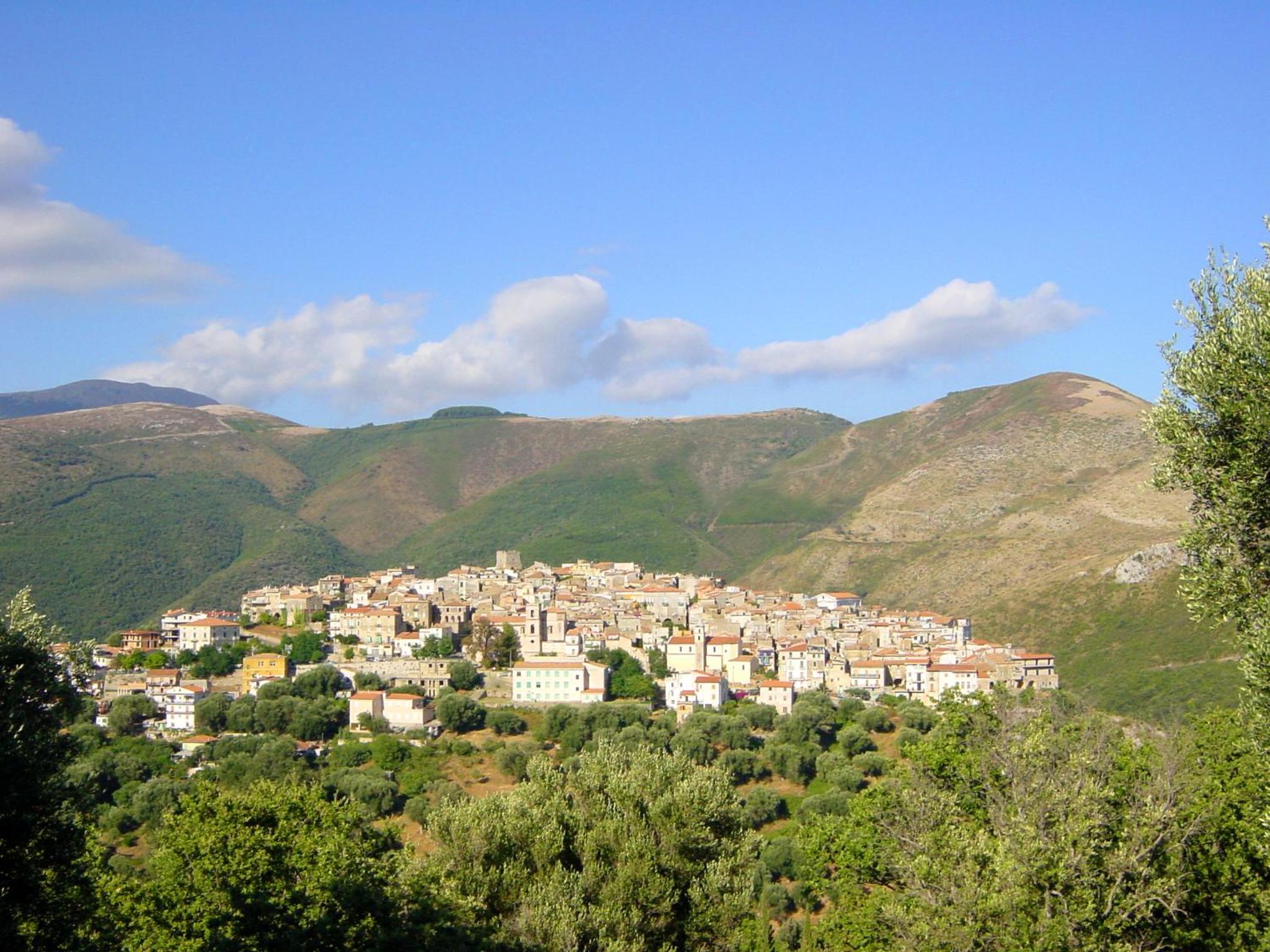 Photo 41