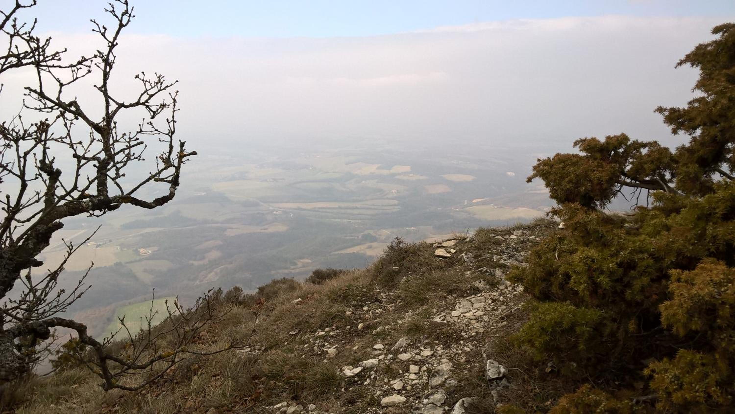 Les Hirondelles