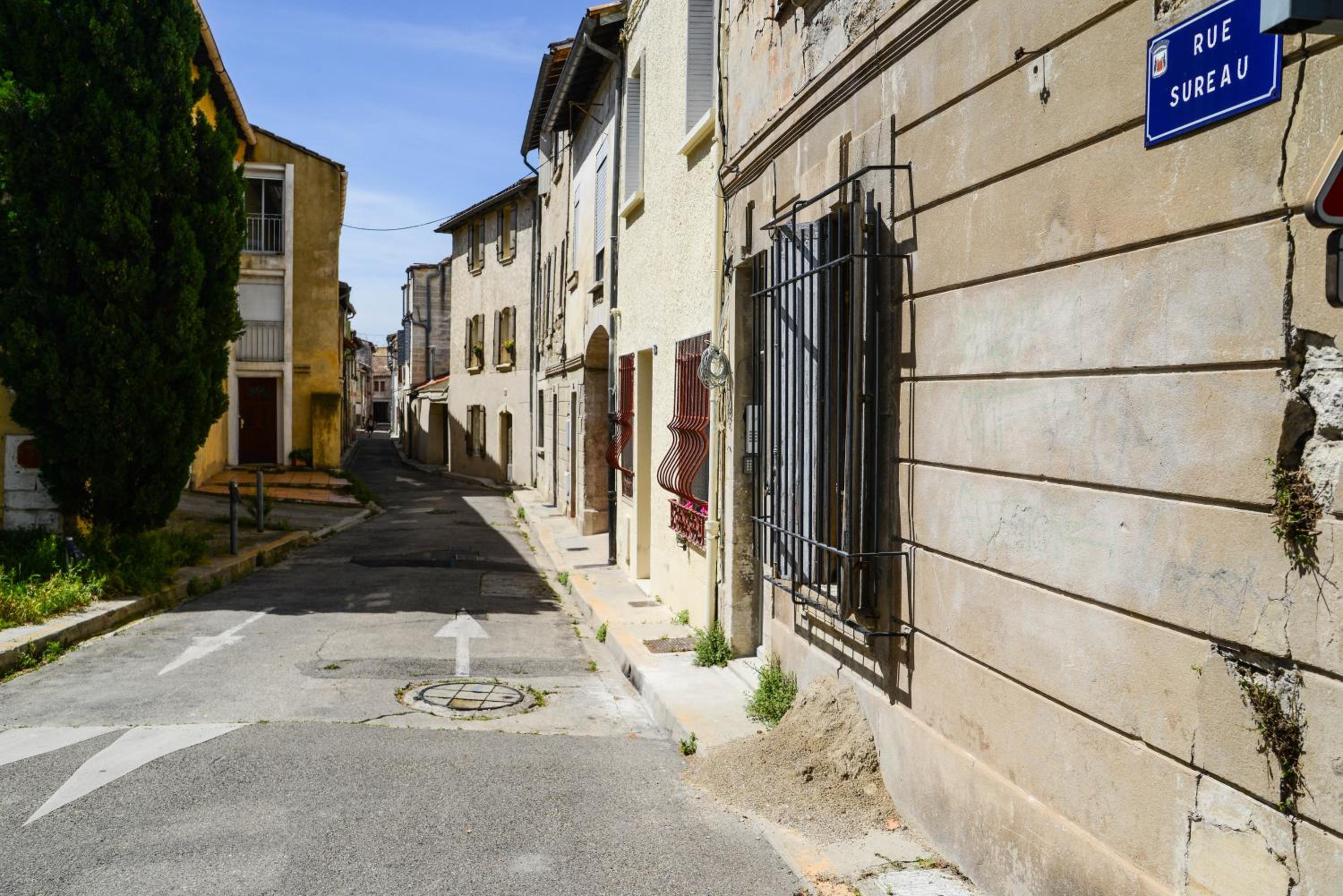 Le Sureau