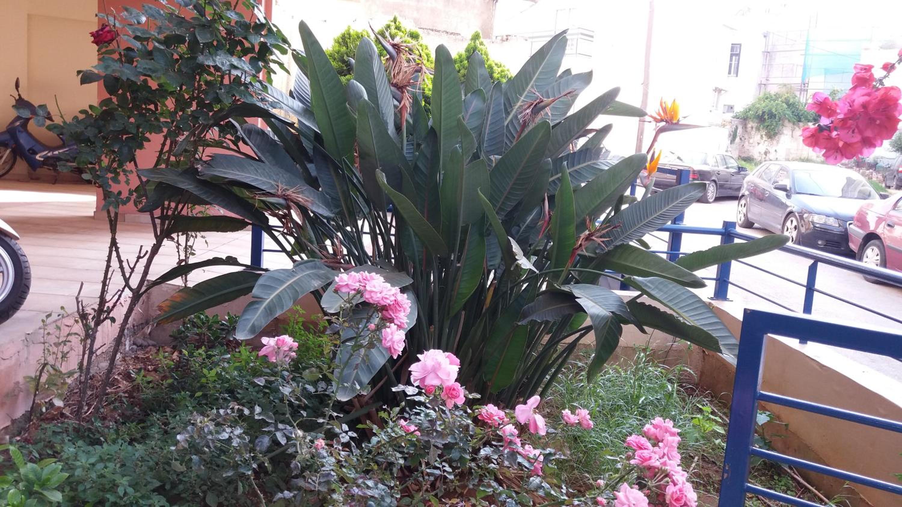Photo 26