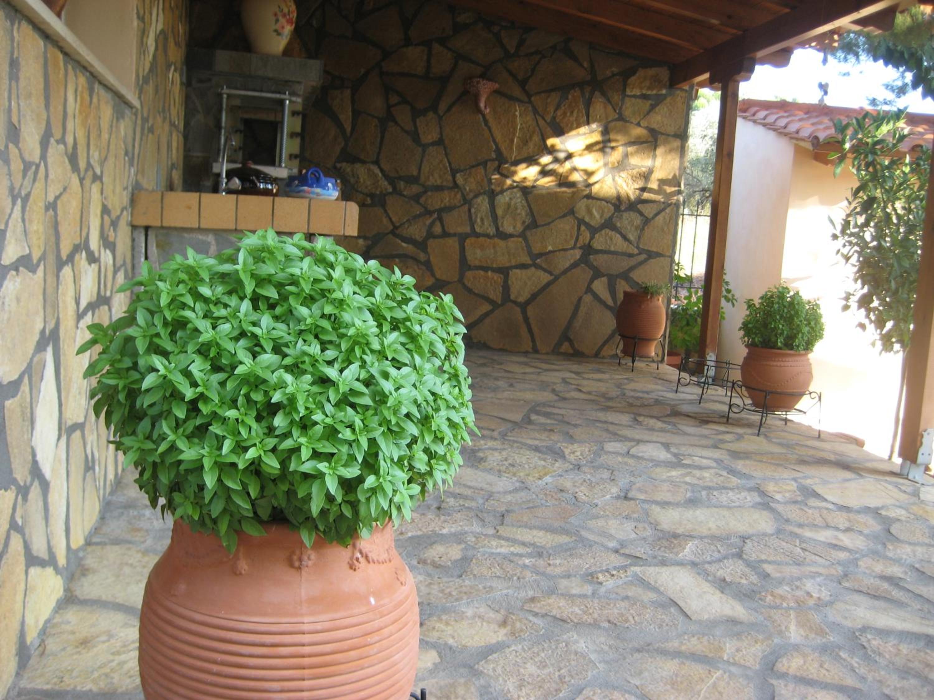 Photo 38