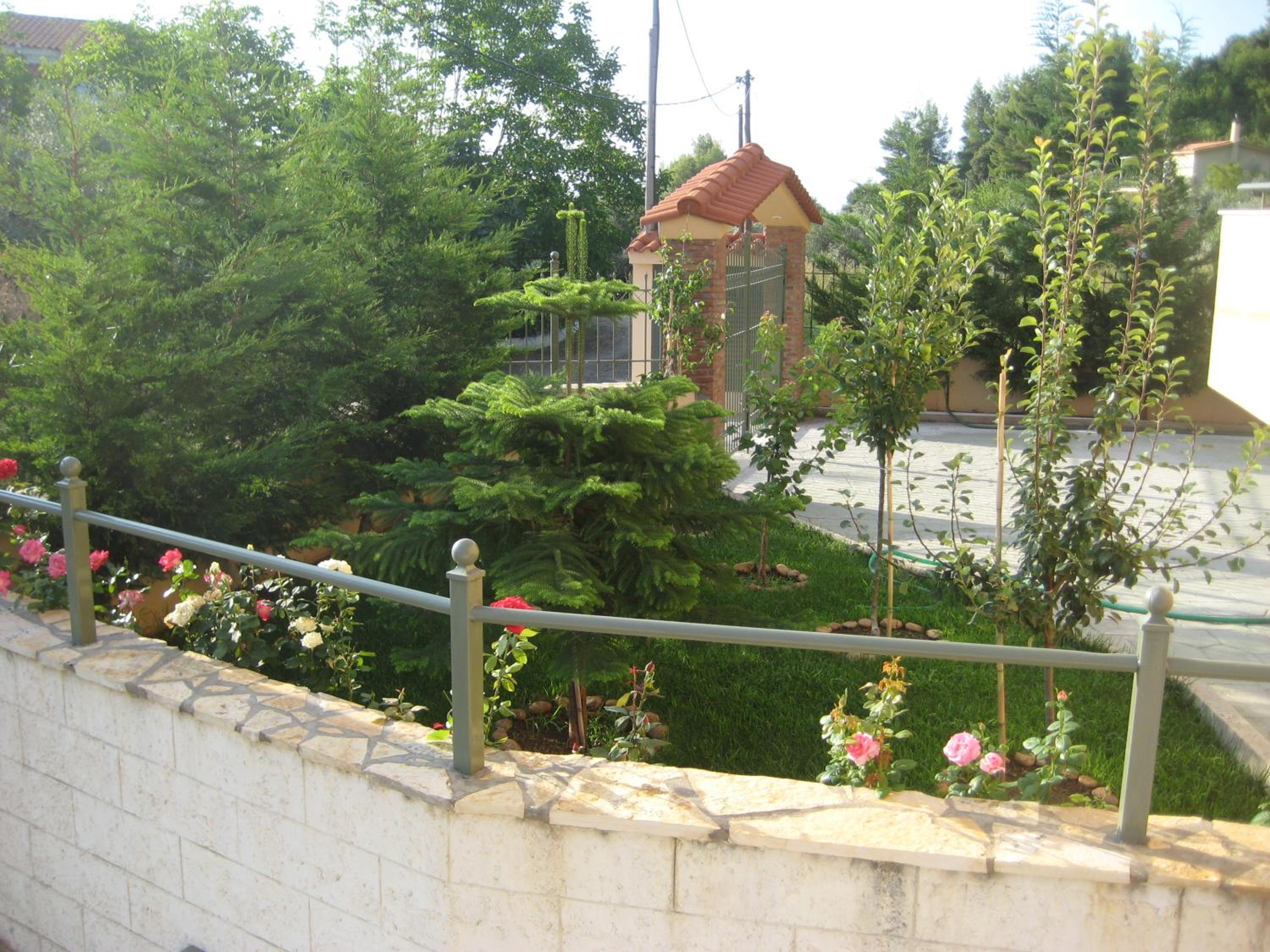 Photo 42