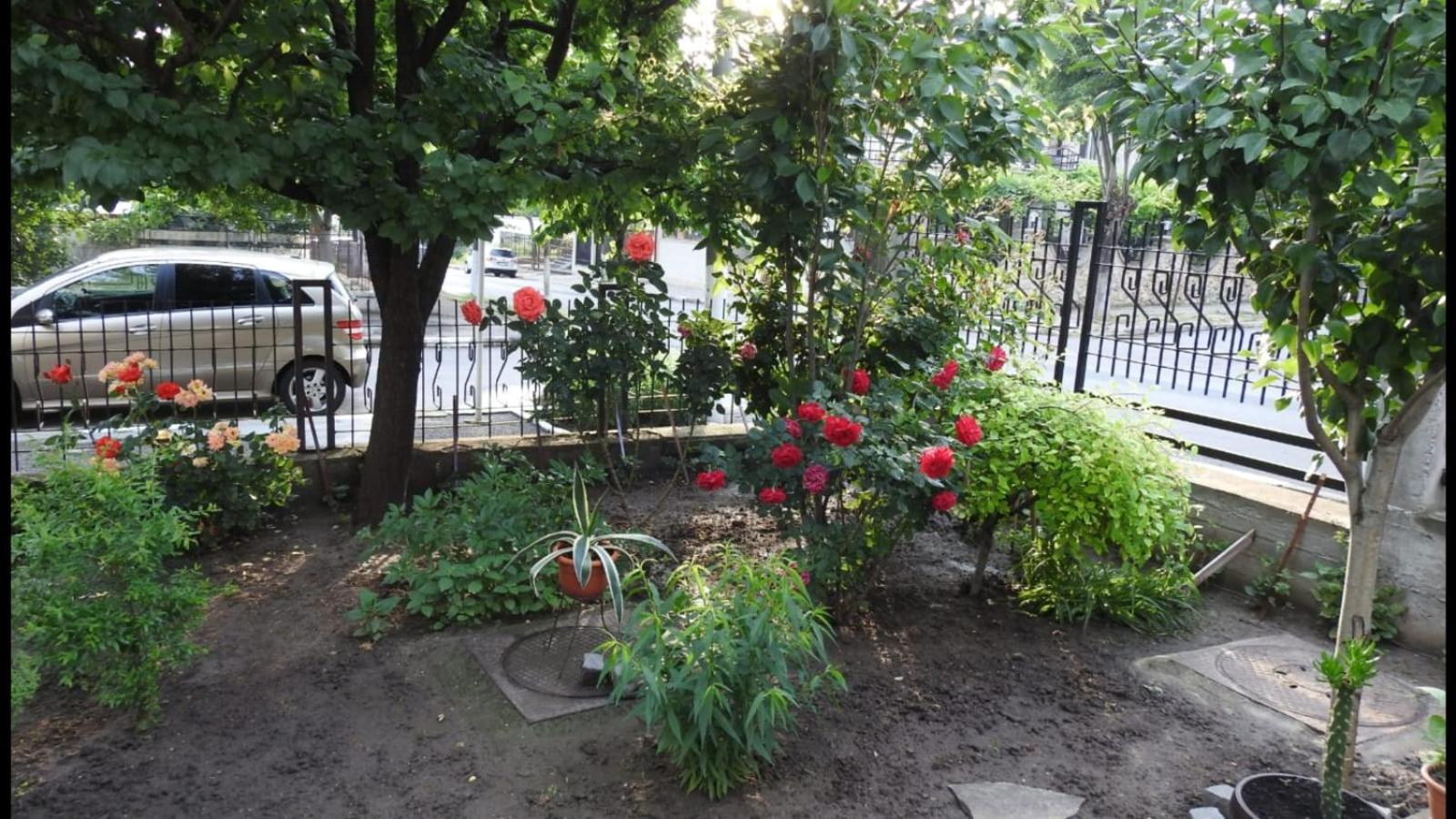 Photo 18
