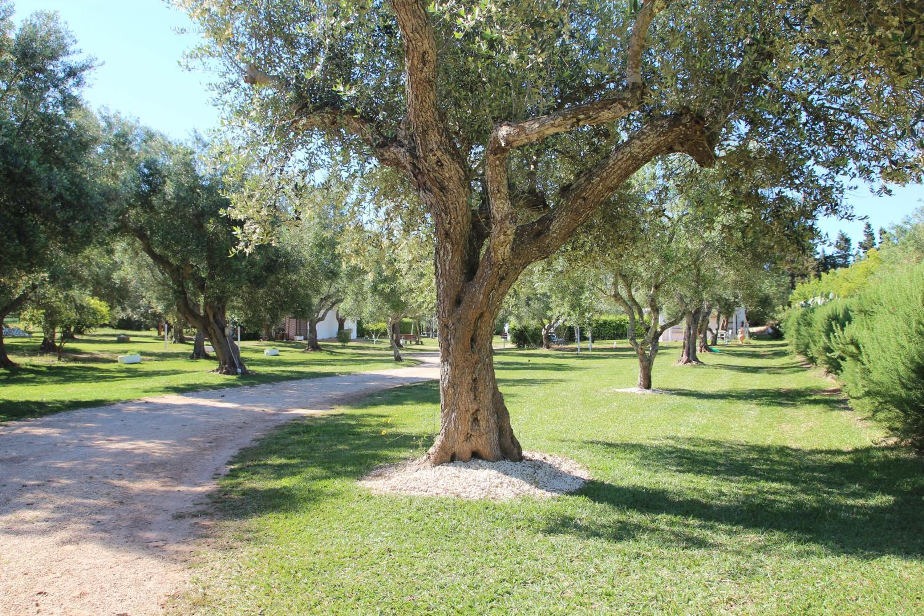 Agriturismo Massaro Pietro