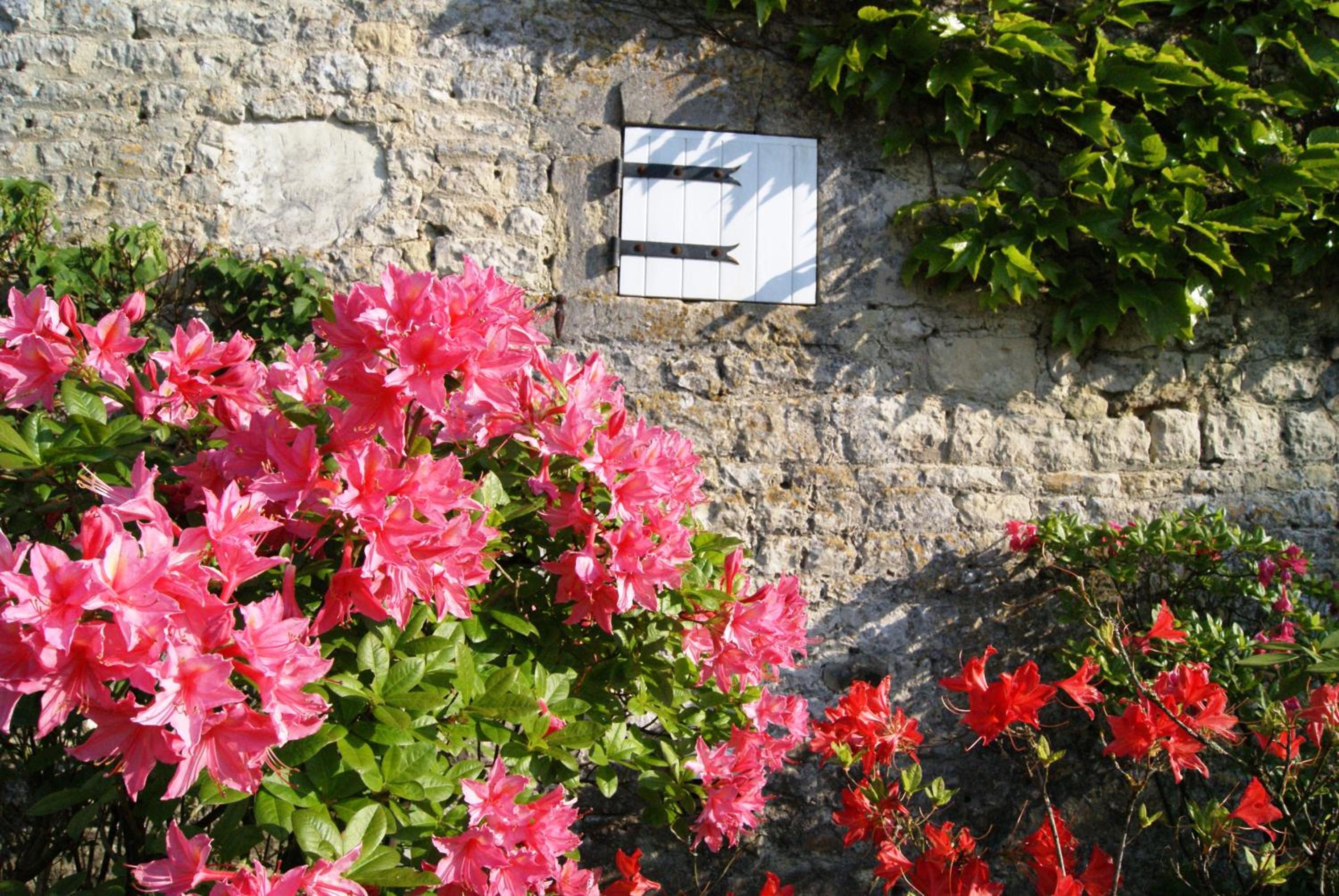 Manoir de la Pataudière B&B
