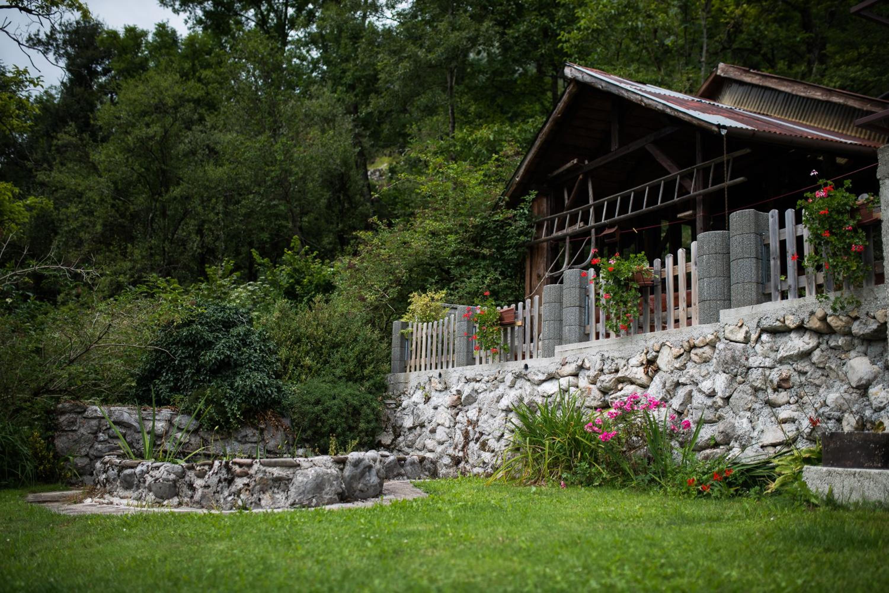 Apartmaji Berginc