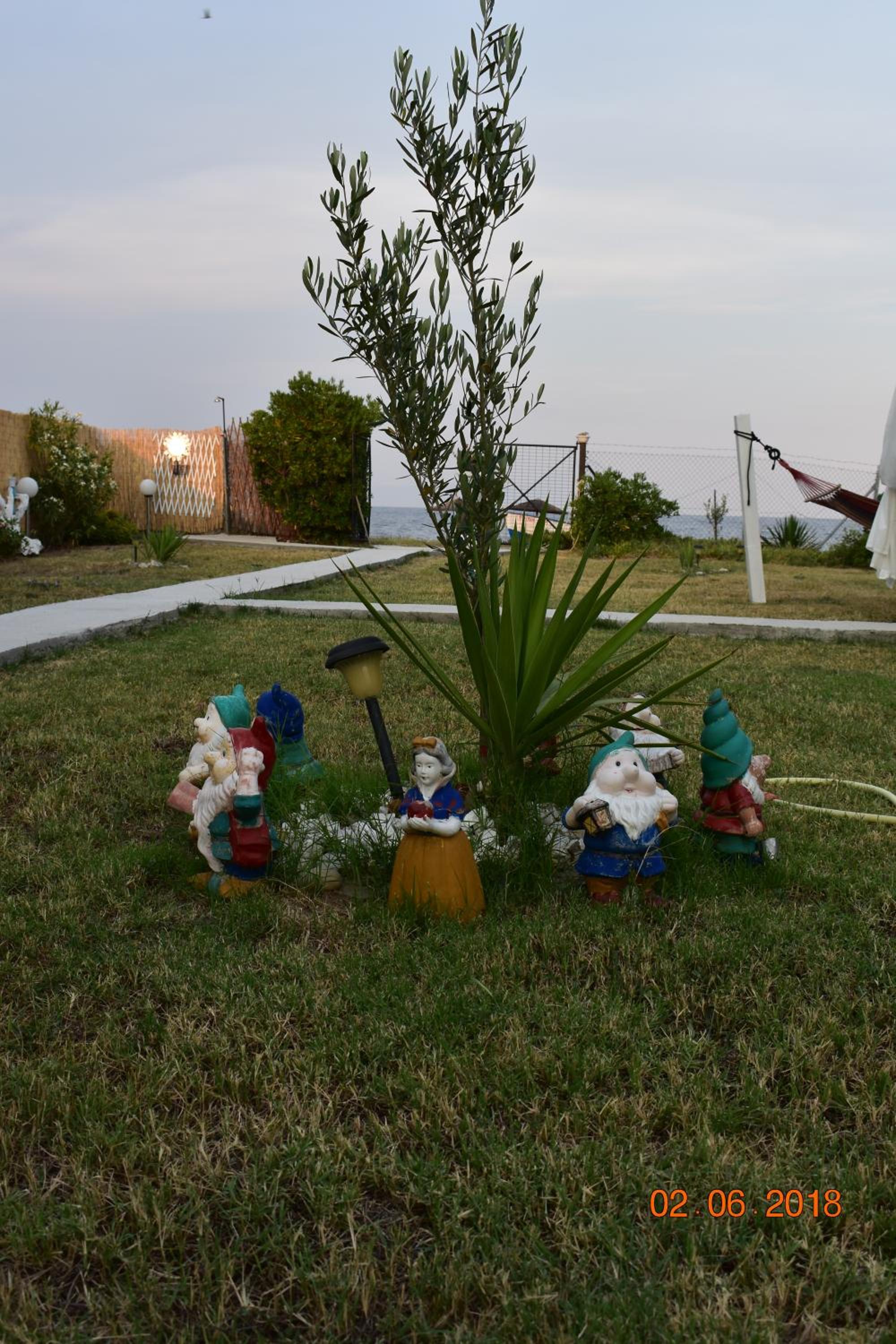 Photo 42