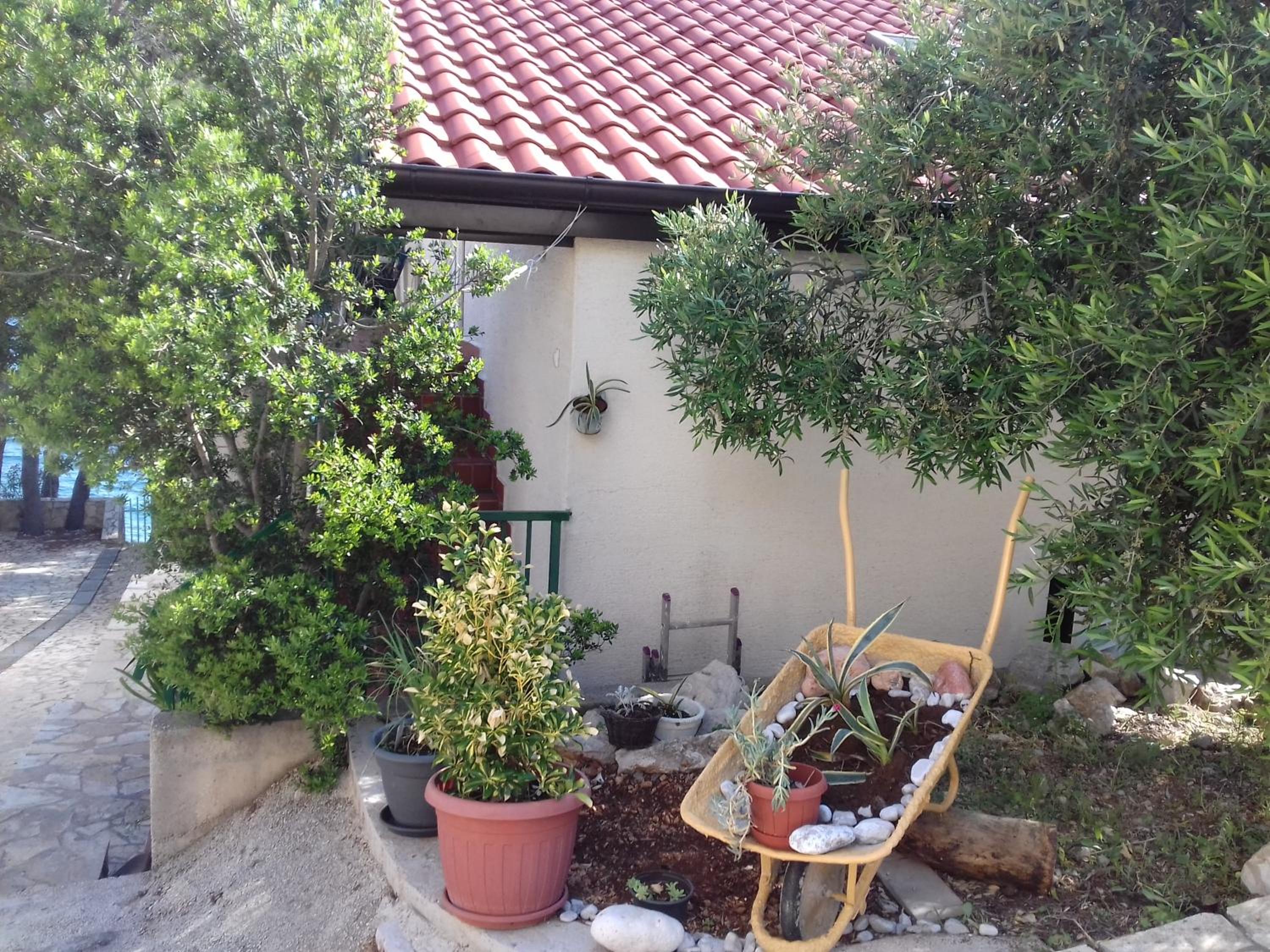 Photo 47