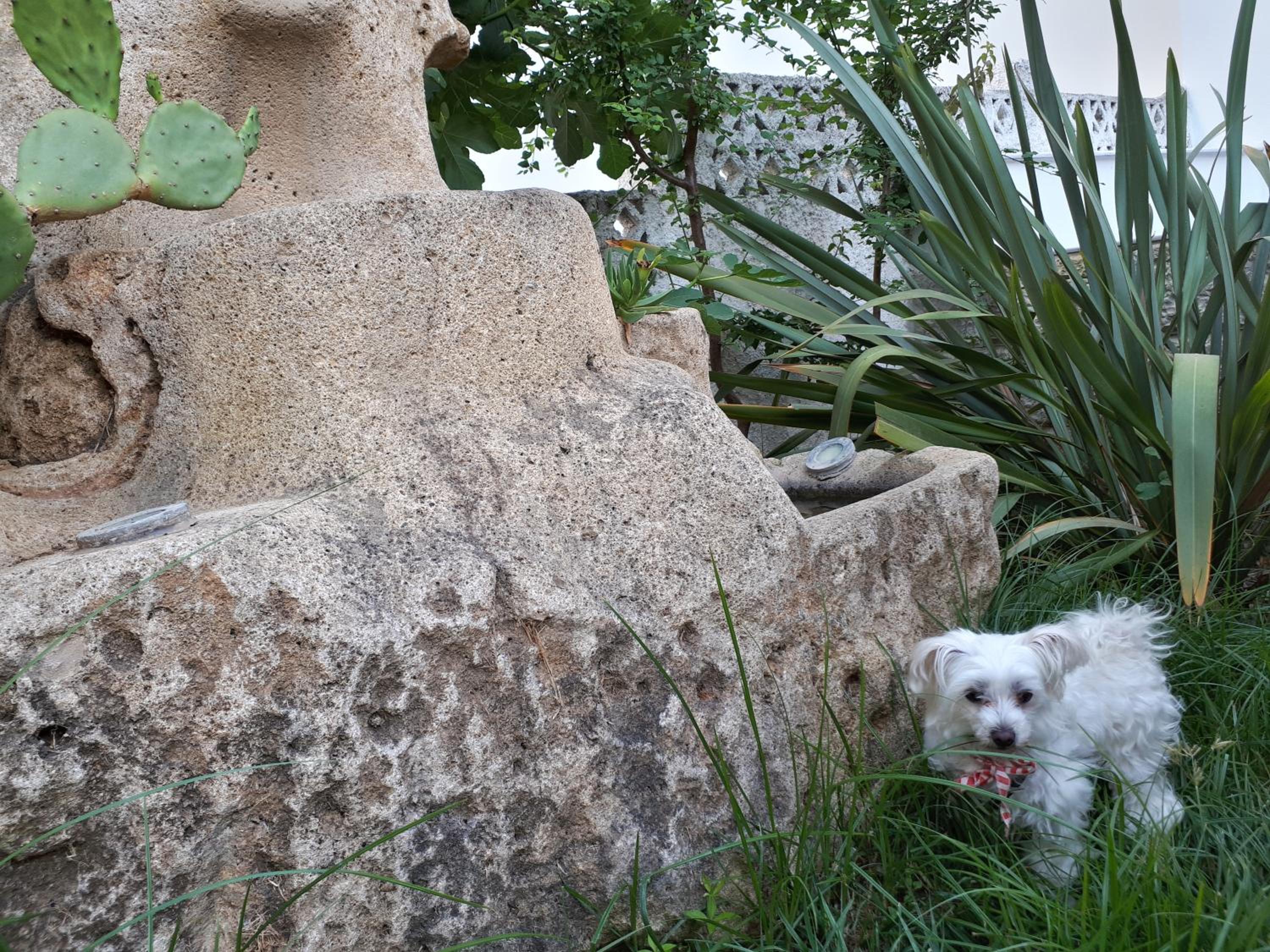 Photo 20