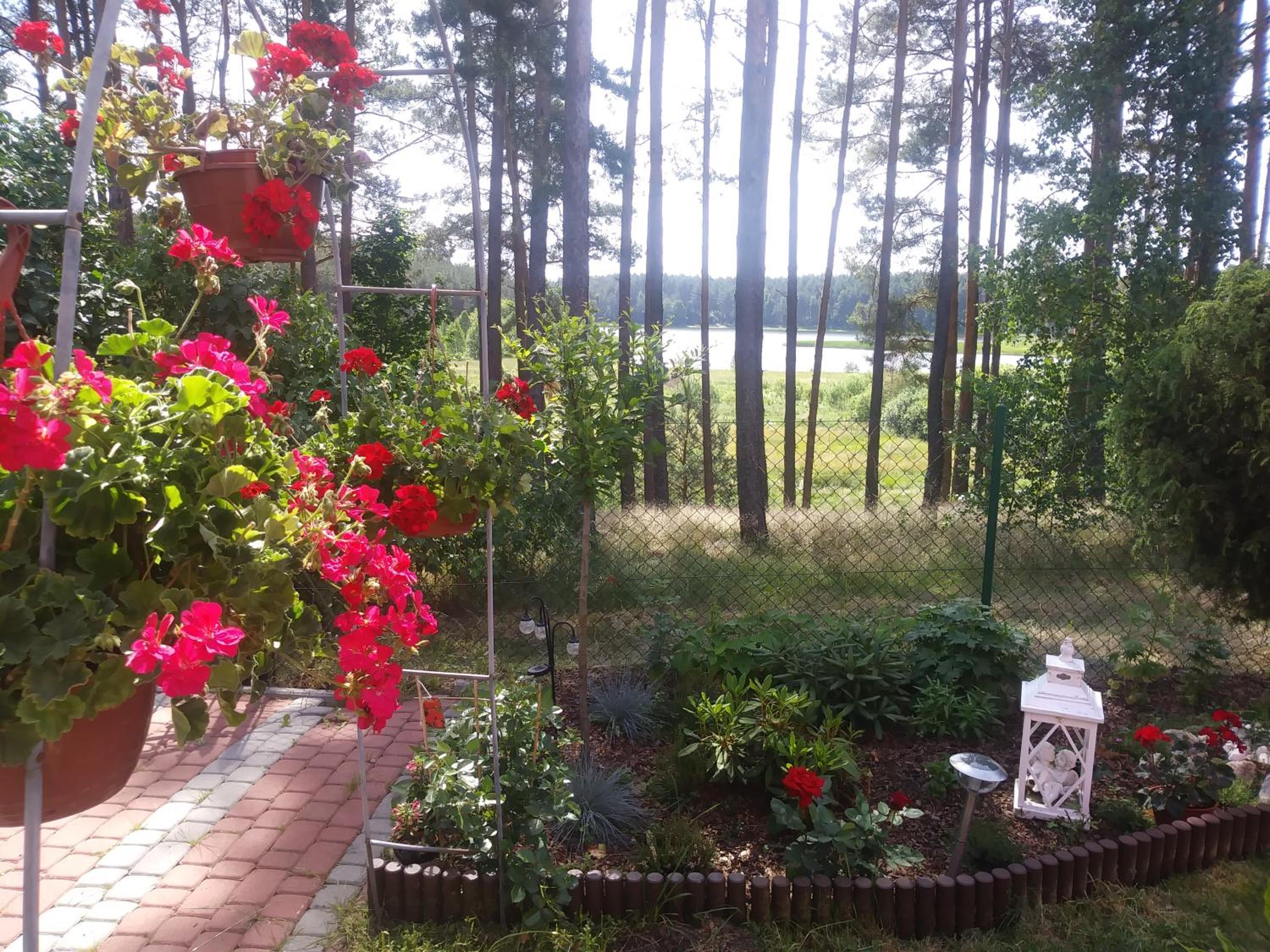 Agroturystyka Zielona Polana view 5