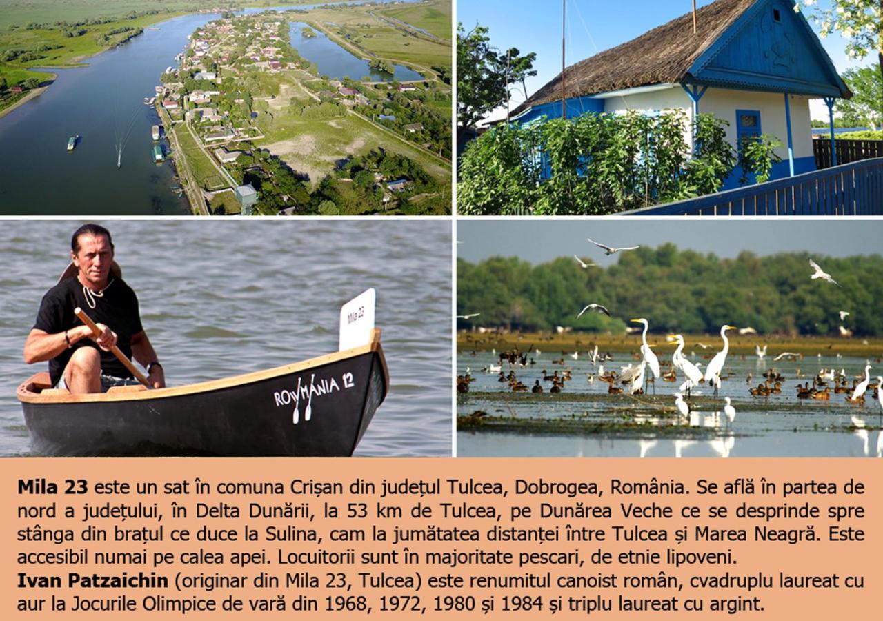 Photo 64