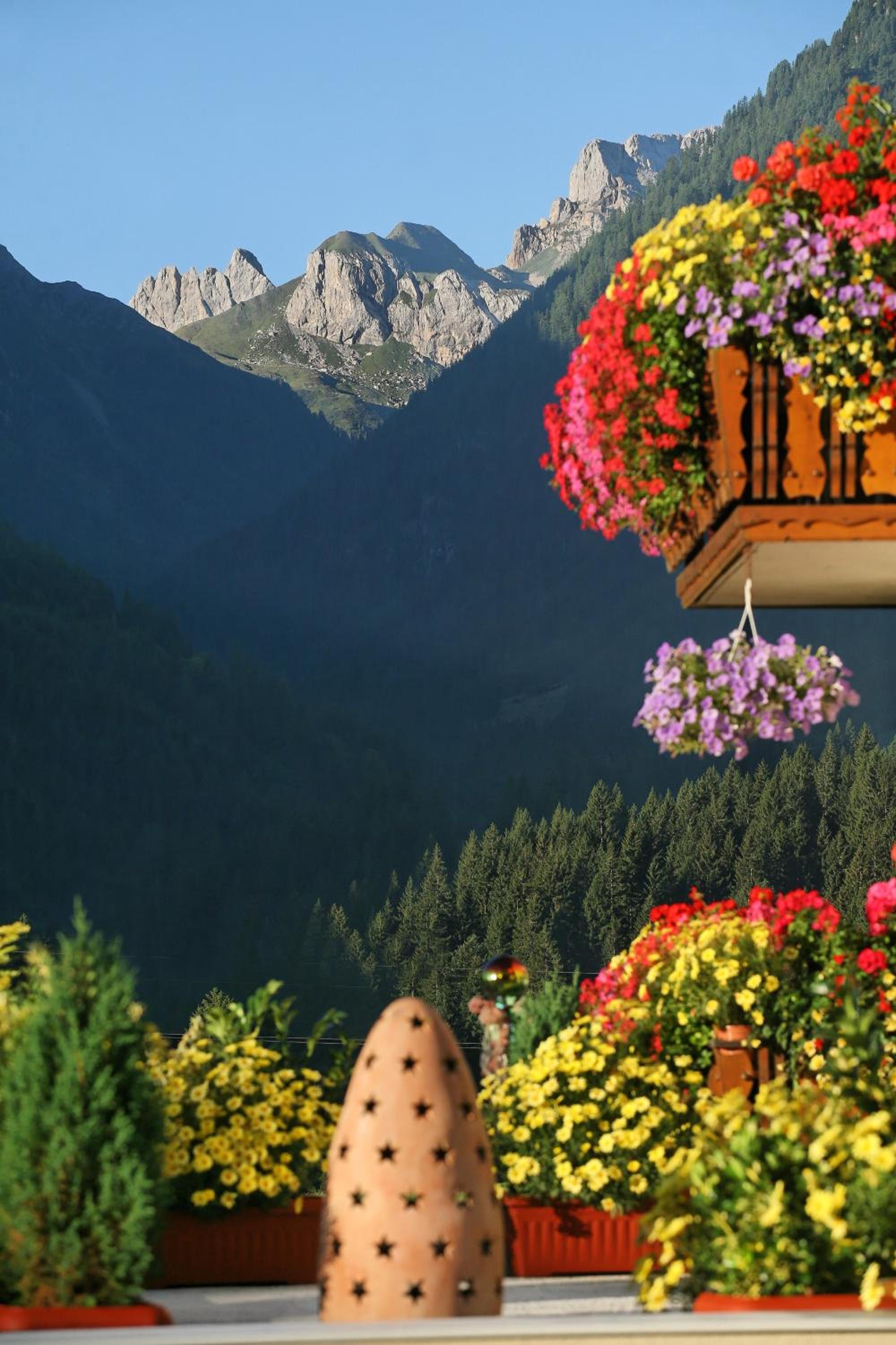 Pension Wilhelmer